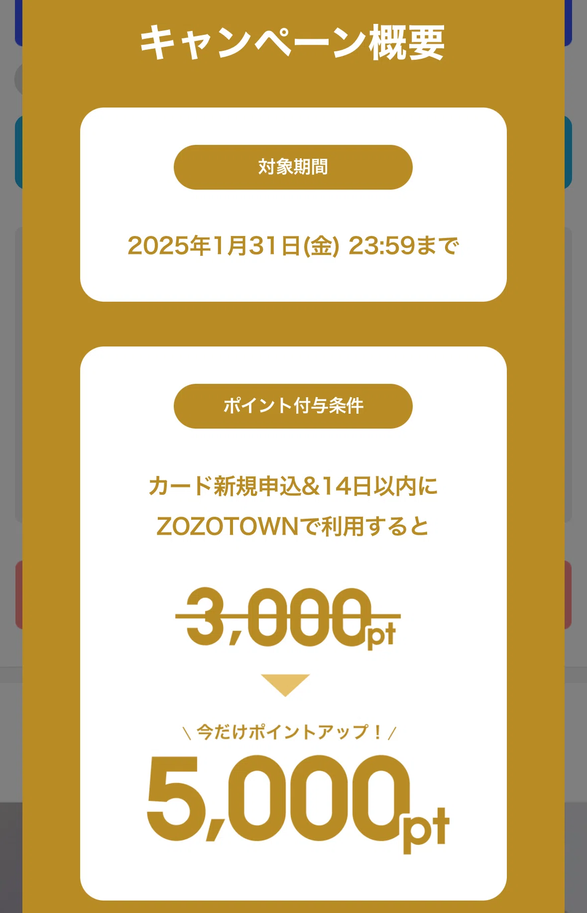 裏技】誰でも簡単にZOZOポイント1万円分ゲットじゃー！｜プチプラのじゅん