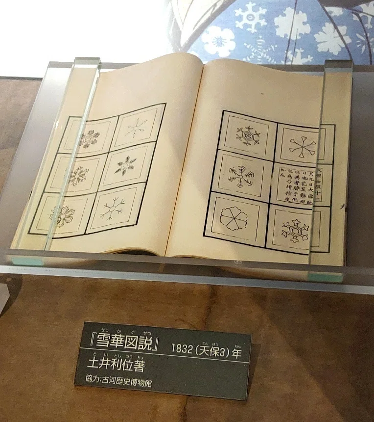 古河藩のお殿様は雪の結晶マニア―古河歴史博物館「雪の華」感想｜Nyori