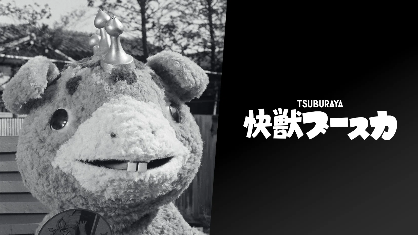 作例あり】怪獣ブースカフィルムカメラを買った話｜Motoki Endo