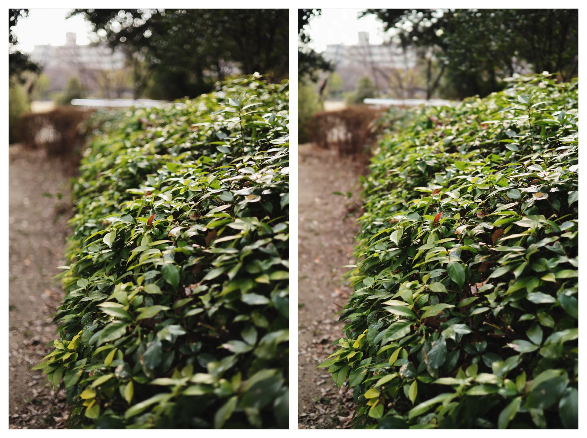 RF50mm F1.8 STM のBBL改造｜計画計画