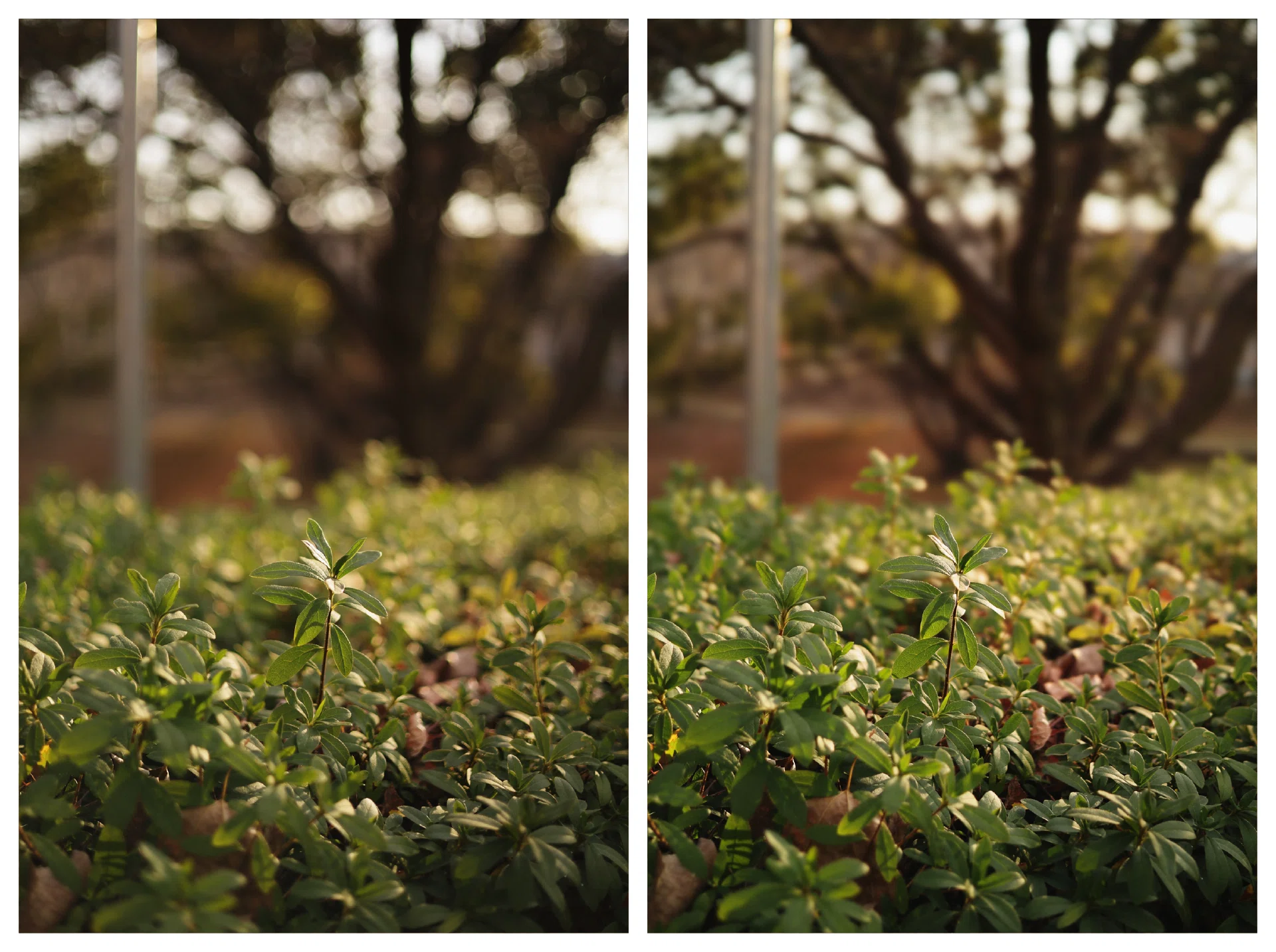 RF50mm F1.8 STM のBBL改造｜計画計画