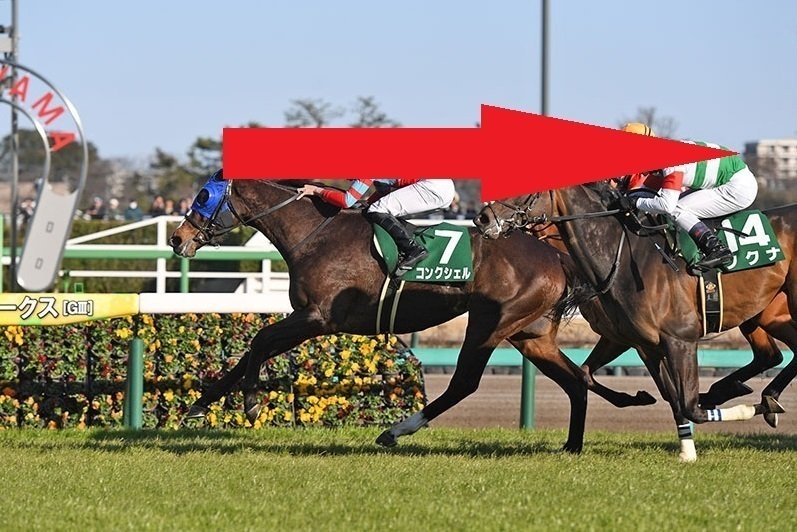 中山牝馬ステークス・フィリーズレビュー 2025サイン馬券｜土曜