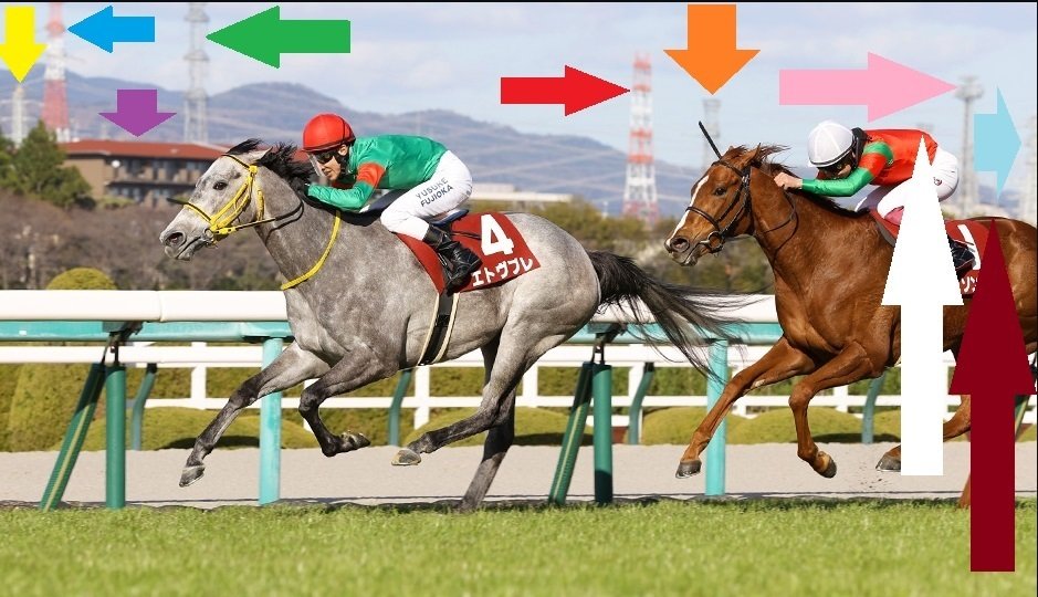 ナチュラルライズ　馬券　カトレアステークス　現地的中馬券　直筆サイン　騎手 在庫処分】 ナチュラルライズ 馬券 直筆 現地的中馬券 カトレア