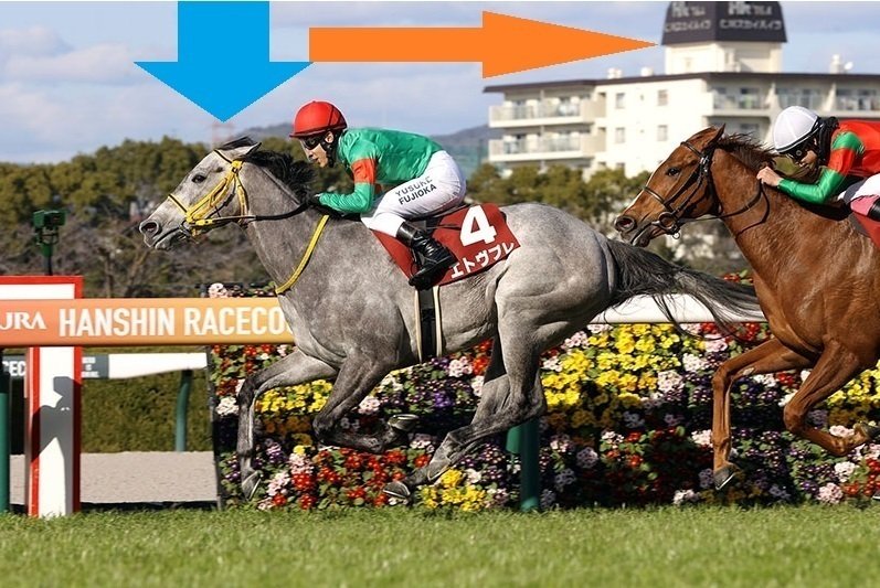 ナチュラルライズ　馬券　カトレアステークス　現地的中馬券　直筆サイン　騎手 ナチュラルライズ 馬券 カトレアステークス 現地的中馬券 直筆