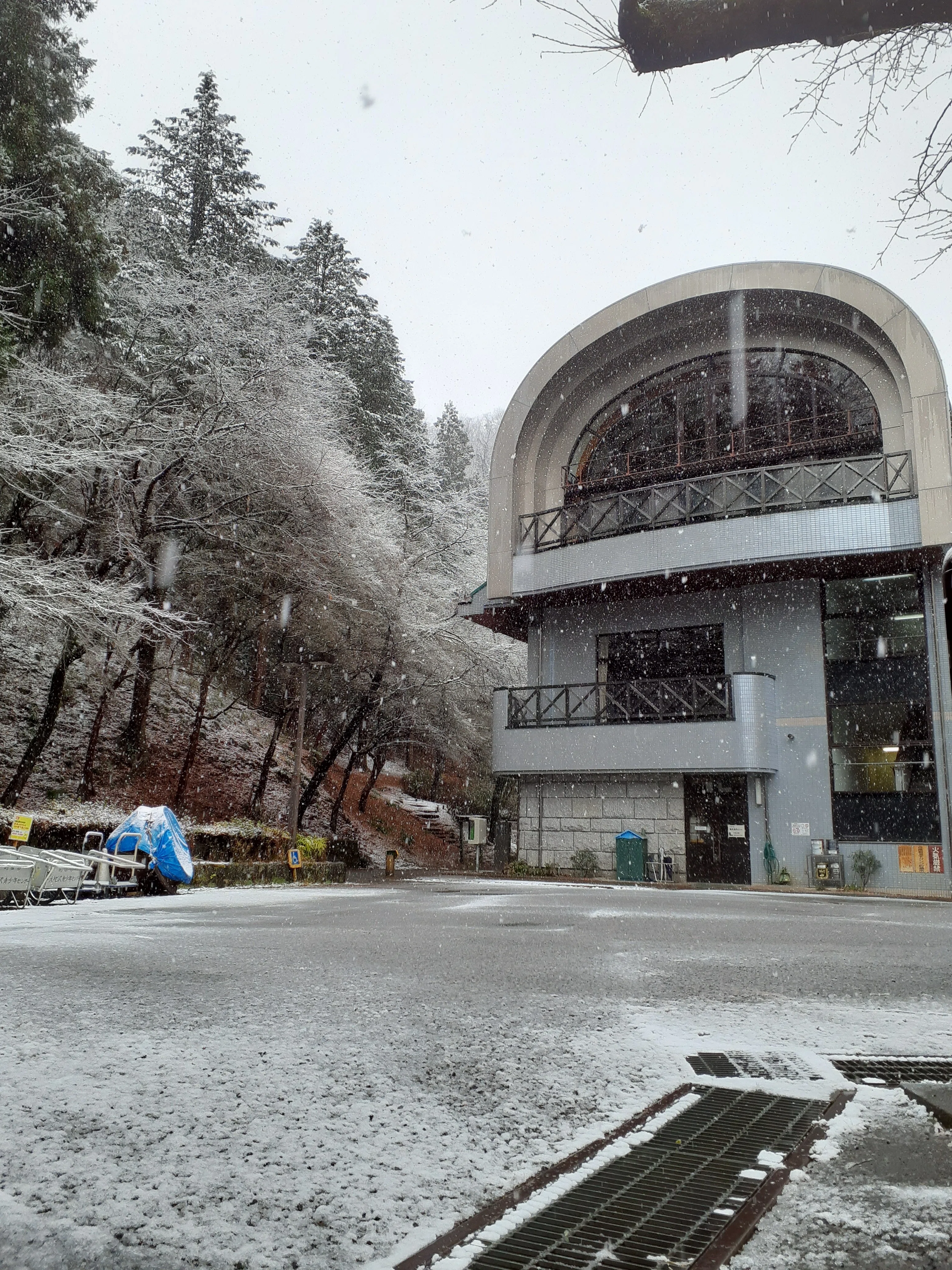 3月の雪、少しだけ積雪｜Nature Factory 東京町田