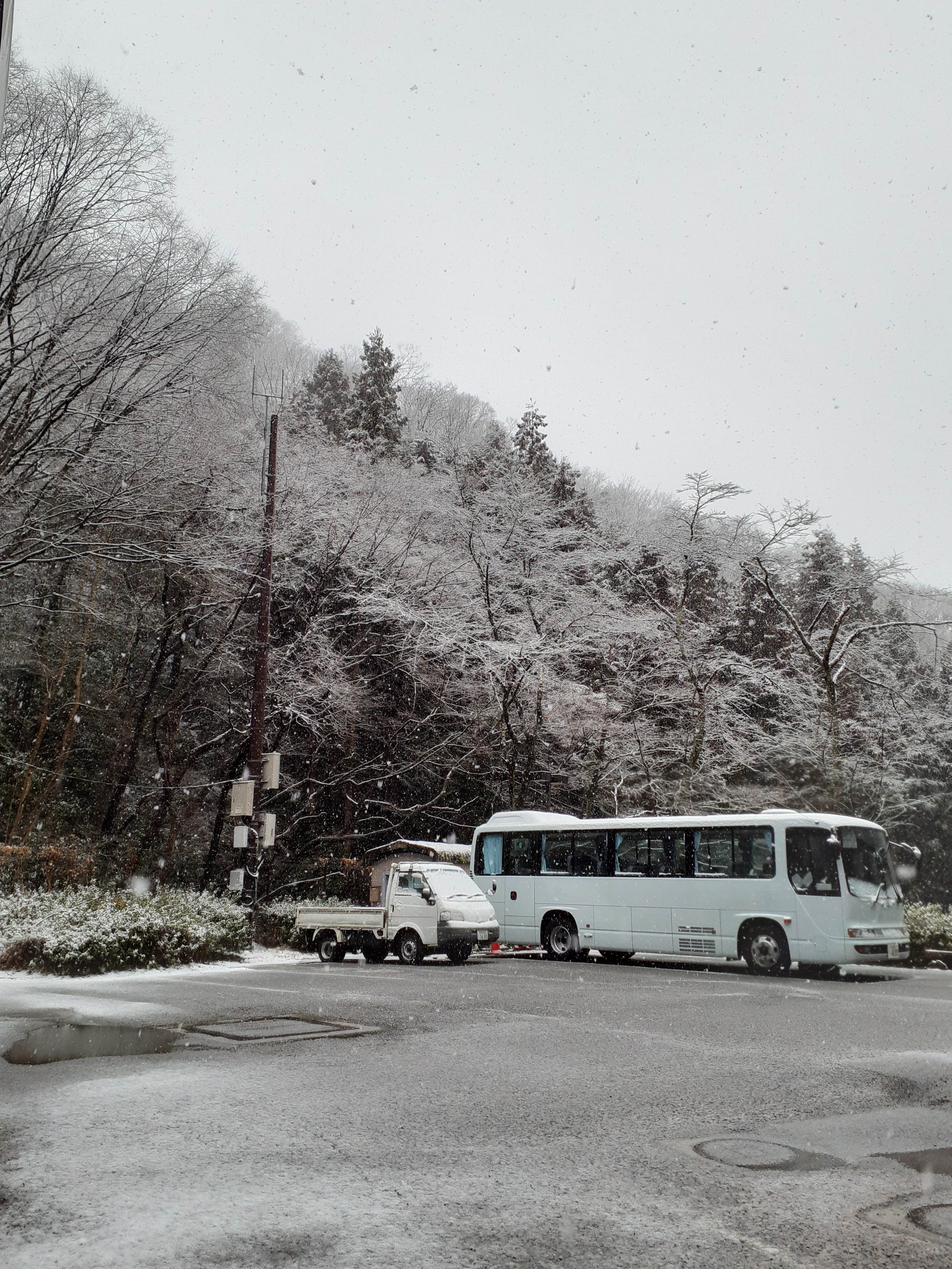 3月の雪、少しだけ積雪｜Nature Factory 東京町田