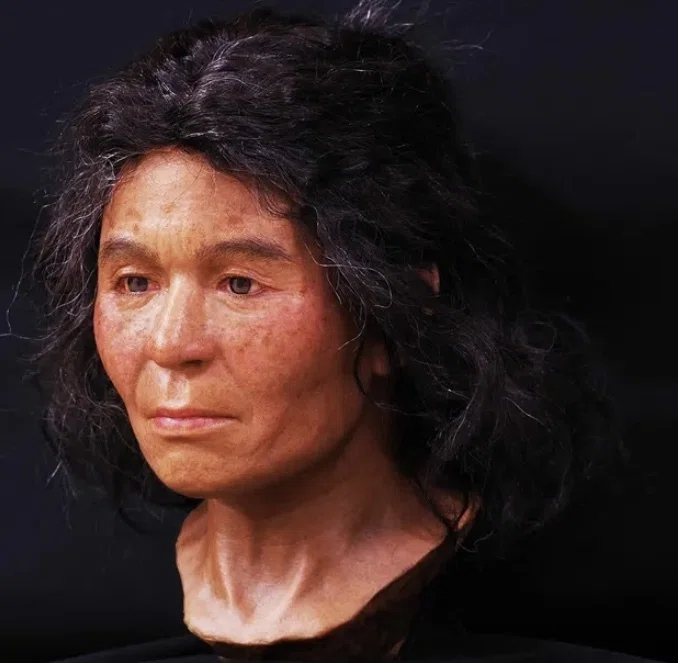 最新のゲノム解析の結果、弥生人は現代日本人と同様、「縄文系+東アジア系+北東アジア系」の三つのゲノム成分を持っていた。|森啓成 (モリヨシナリ ...