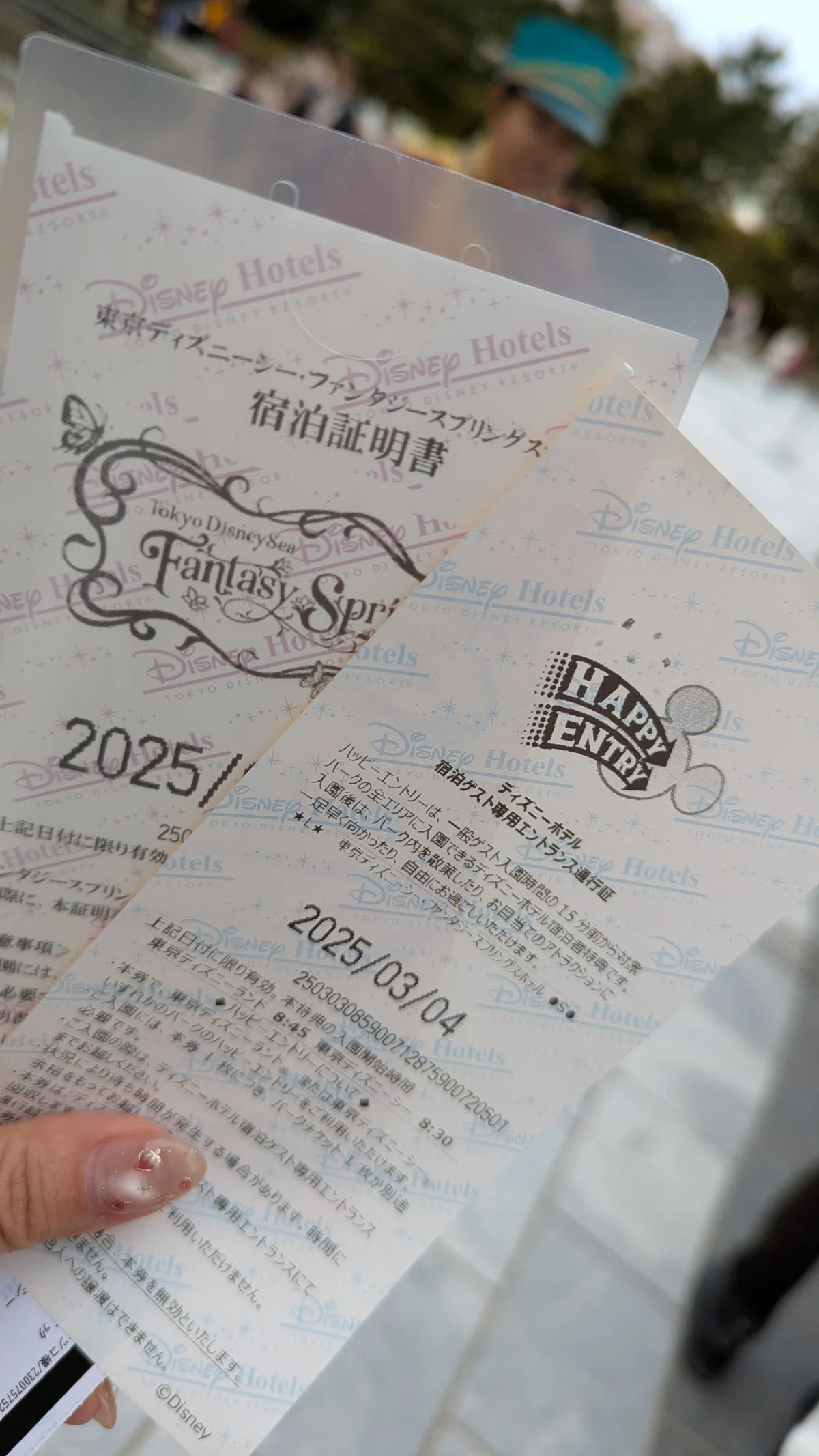 ディズニーホテル ハッピーエントリー 分厚かっ 2024/12/19