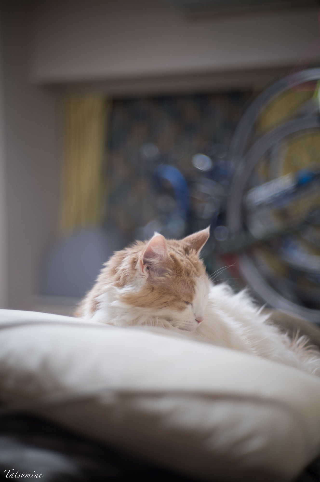 Canon (Serenar) 50mm F1.5を購入｜tatsumine