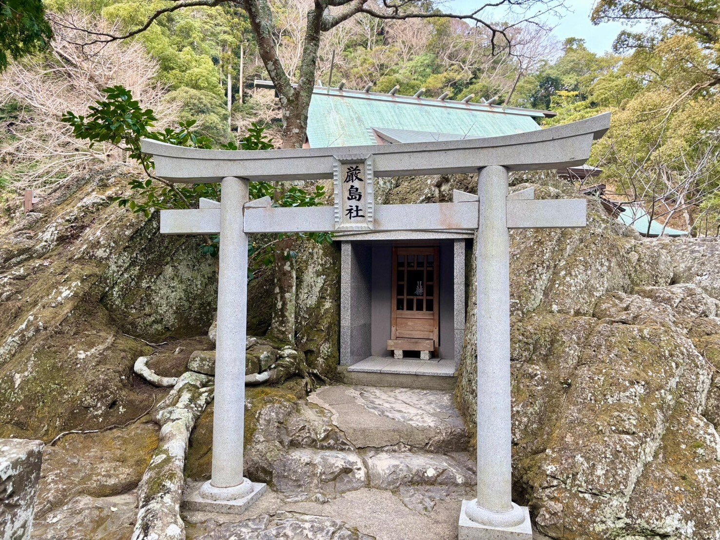 日本三大金運神社 安房神社 金運御守 R6729授与品限定