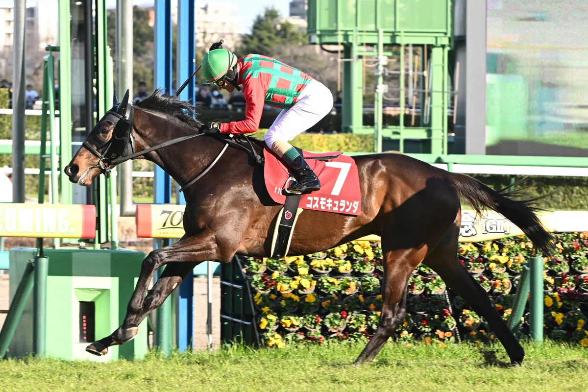 GⅡ弥生賞｜タイツ・競馬ライター【無料予想と馬のお話】