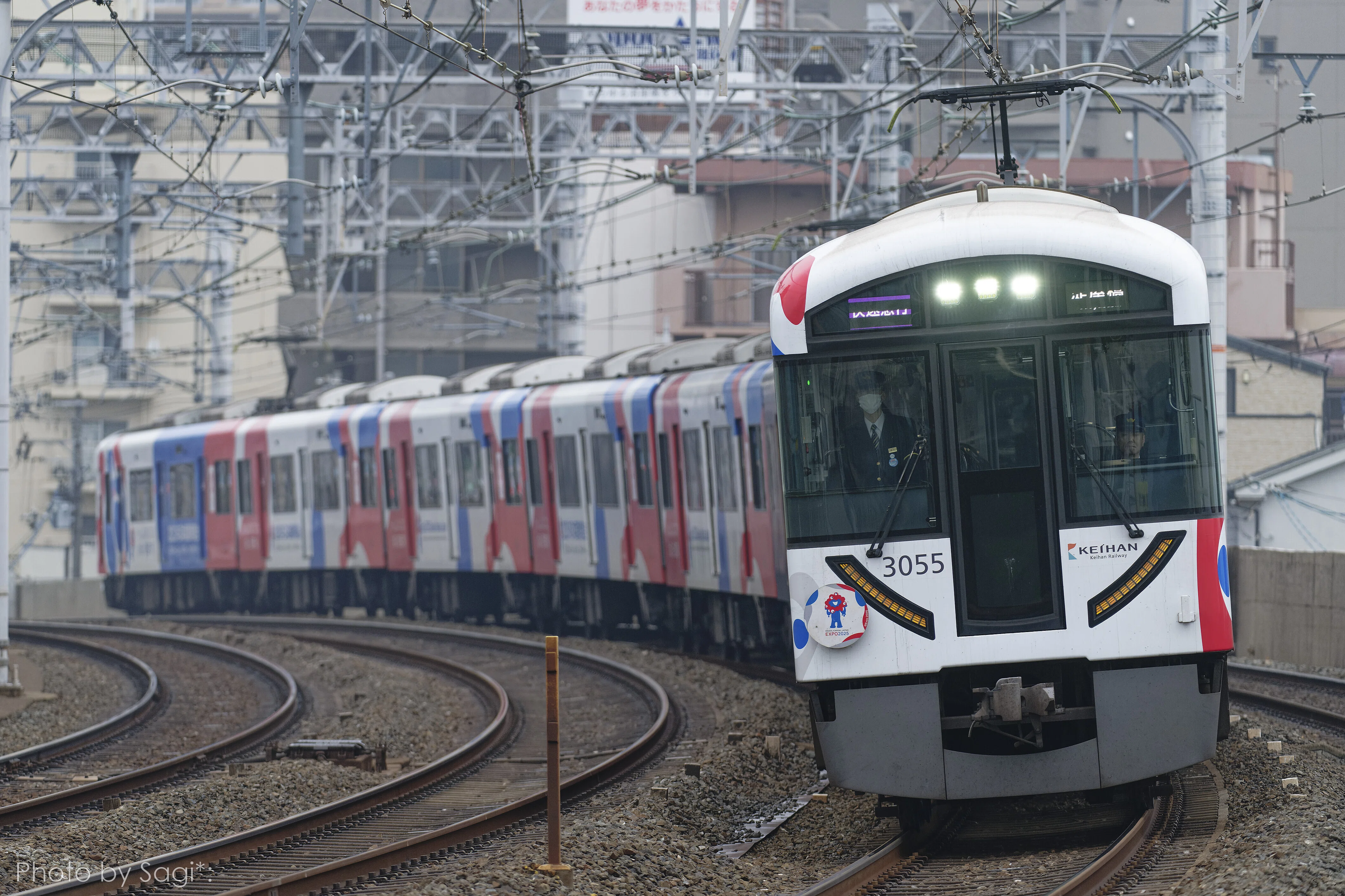 3/2 京阪｜鷺