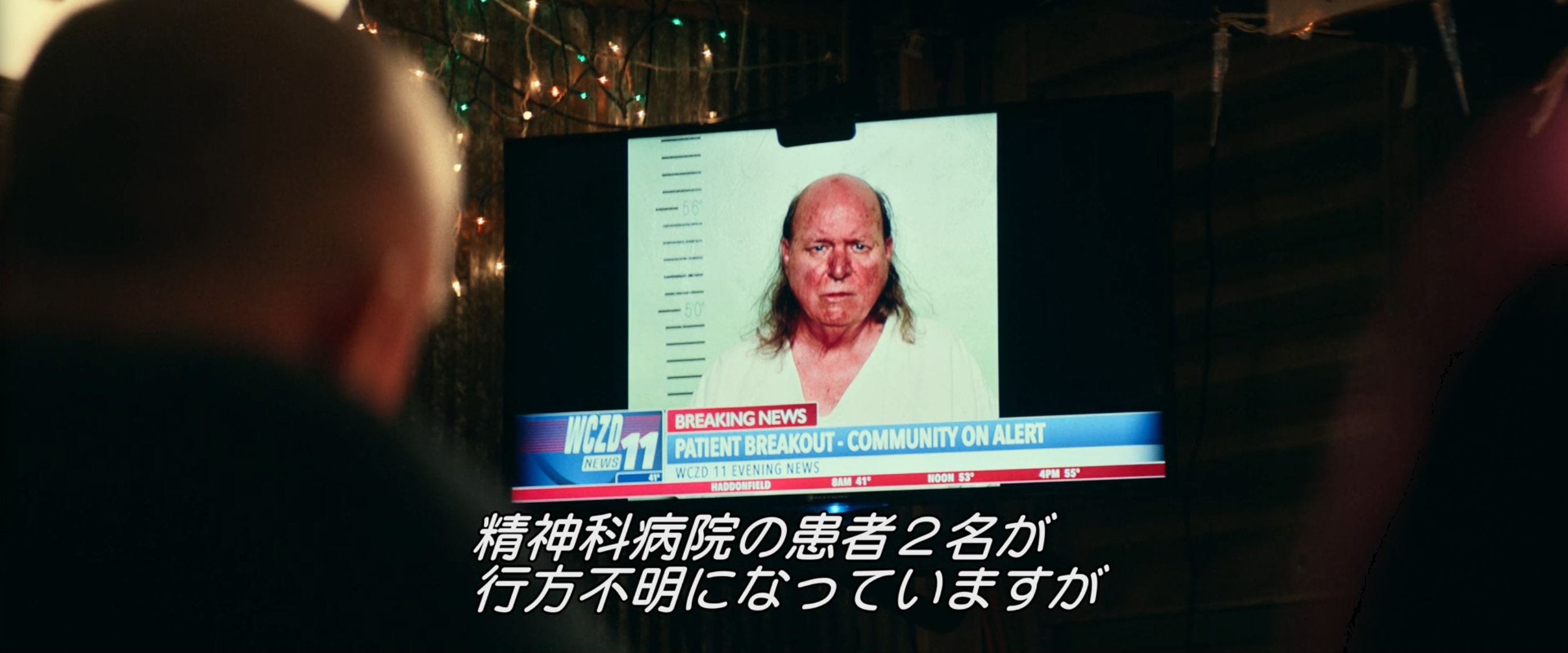 映画感想 ハロウィン KILLS｜とらつぐみ