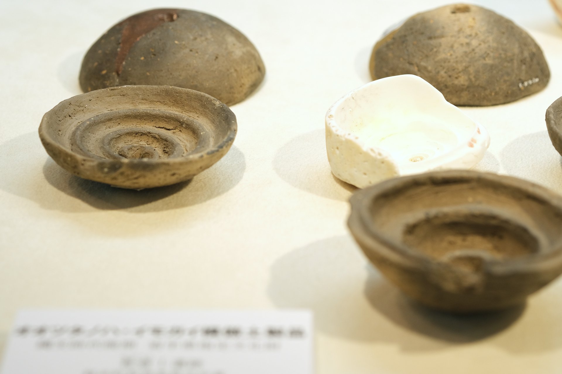 千葉市埋蔵文化財調査センター特別展「貝と人」に行ってみた｜堀さと
