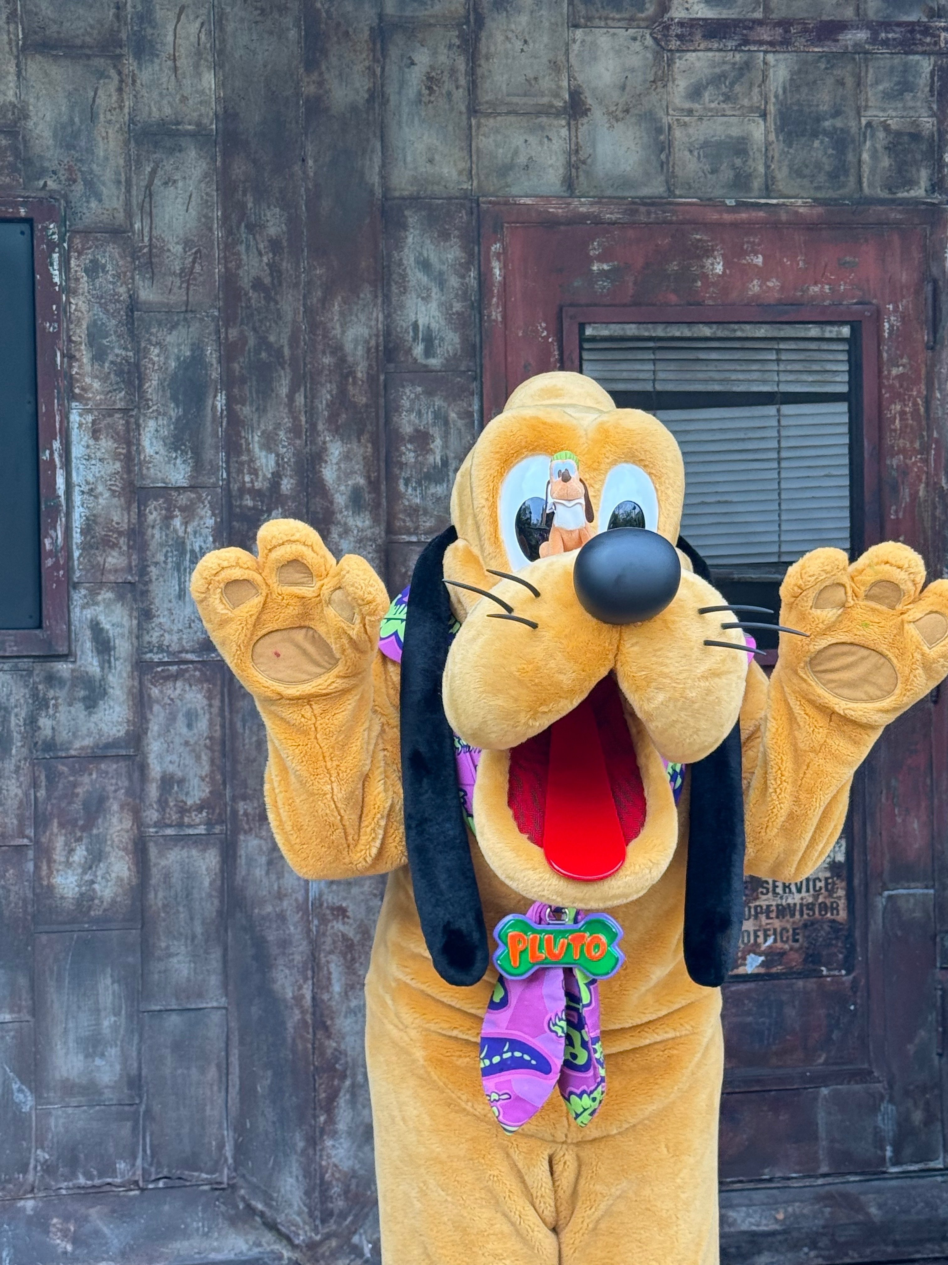 【希少】WDW アニマルキングダム グーフィー スノードーム 2025年最新】wdw スノードームの人気アイテム - メルカリ