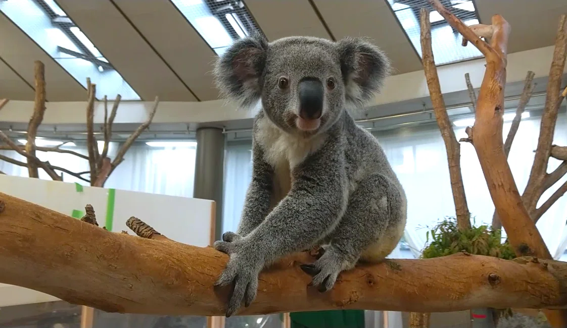 横浜市立金沢動物園