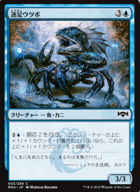 MTG 『ラヴニカの献身』日本語版259種コンプリートセット