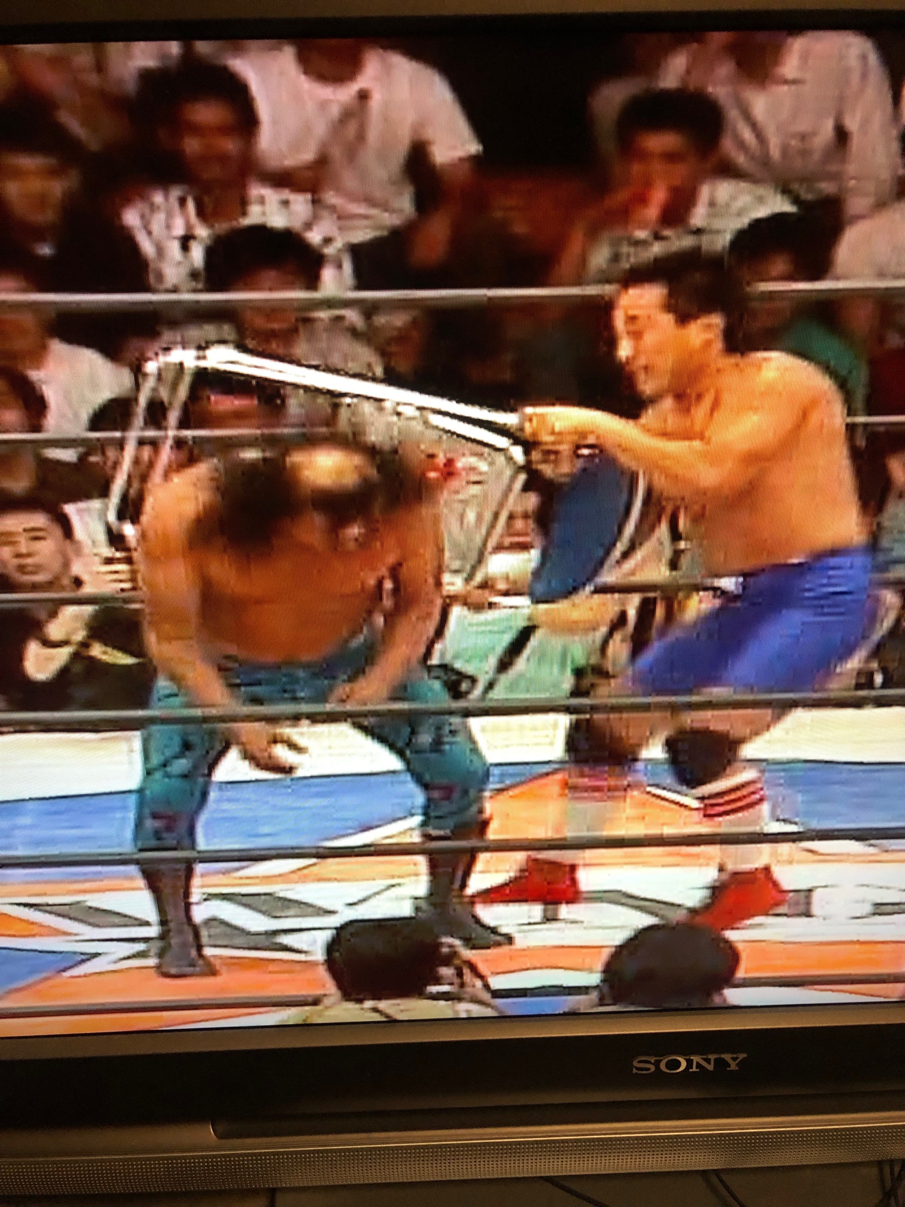 プロレスの第一次W☆ING旗揚げシリーズ、「TAKE OFF-1st」を、撮影し