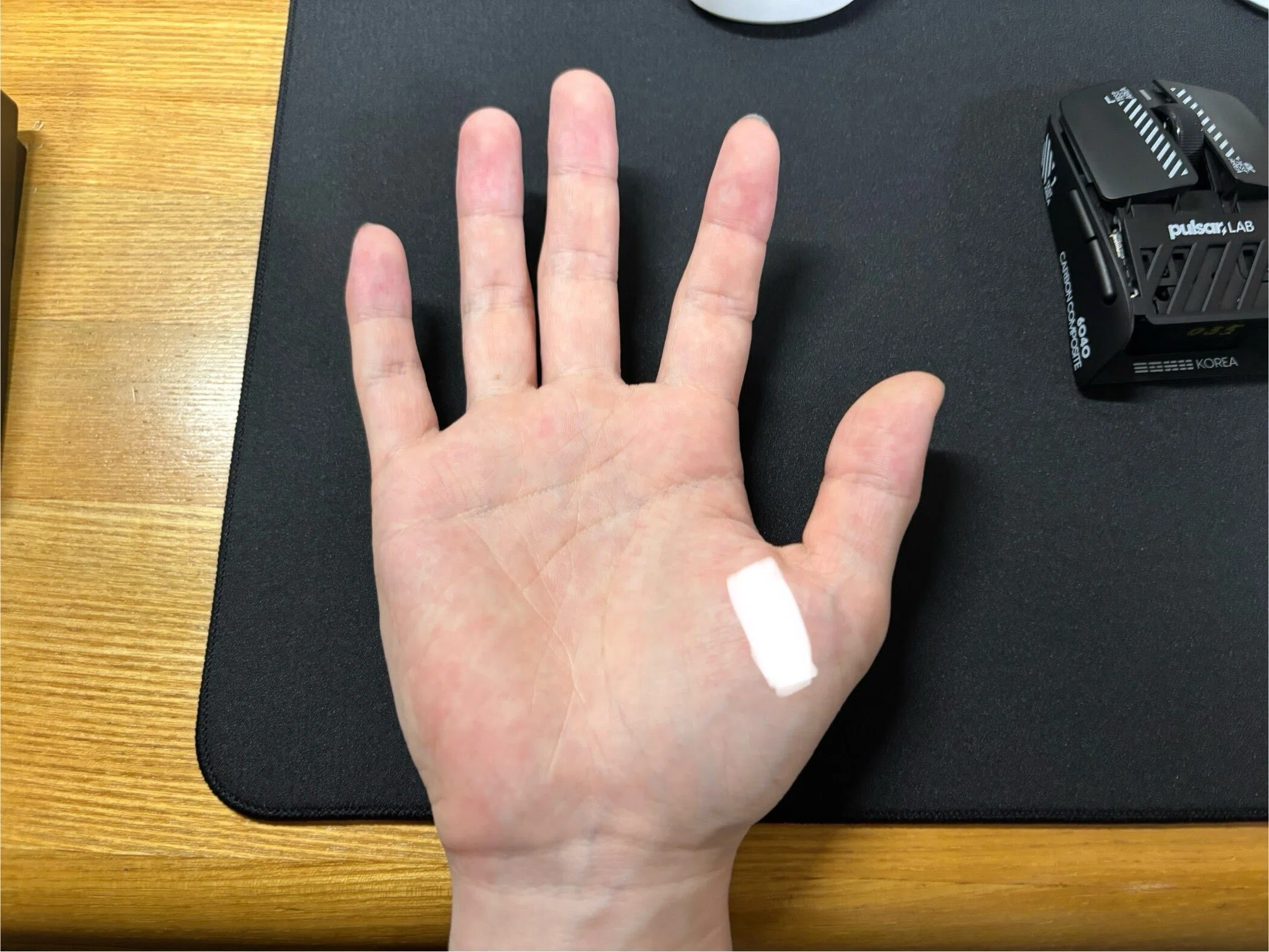 Pulsar X2Fは従来のつまみ持ち専用マウスと何が違うのか。｜mashir0