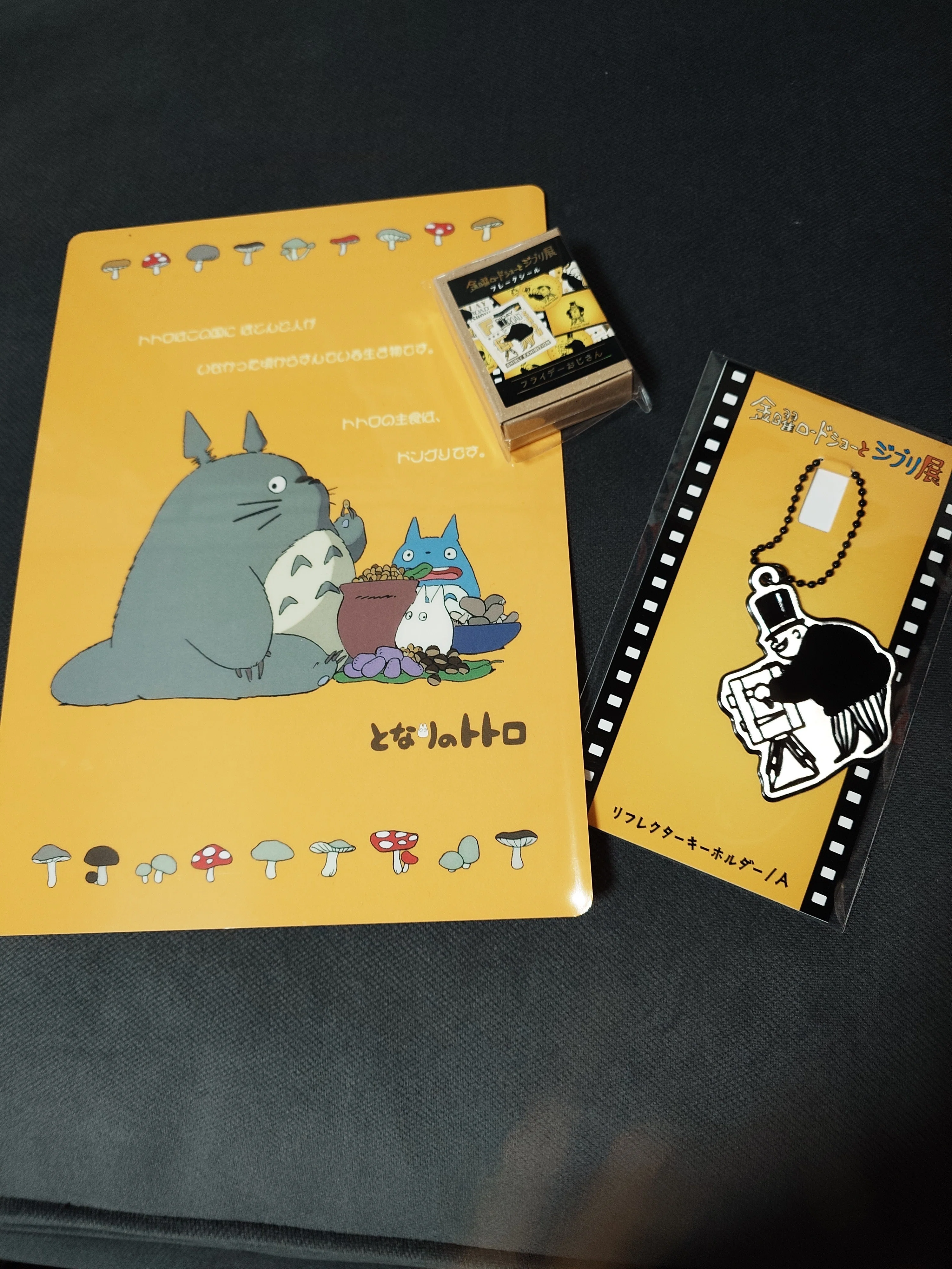 金曜ロードショーとジブリ展』でジブリを満喫！（三重県）｜ナカヤマ