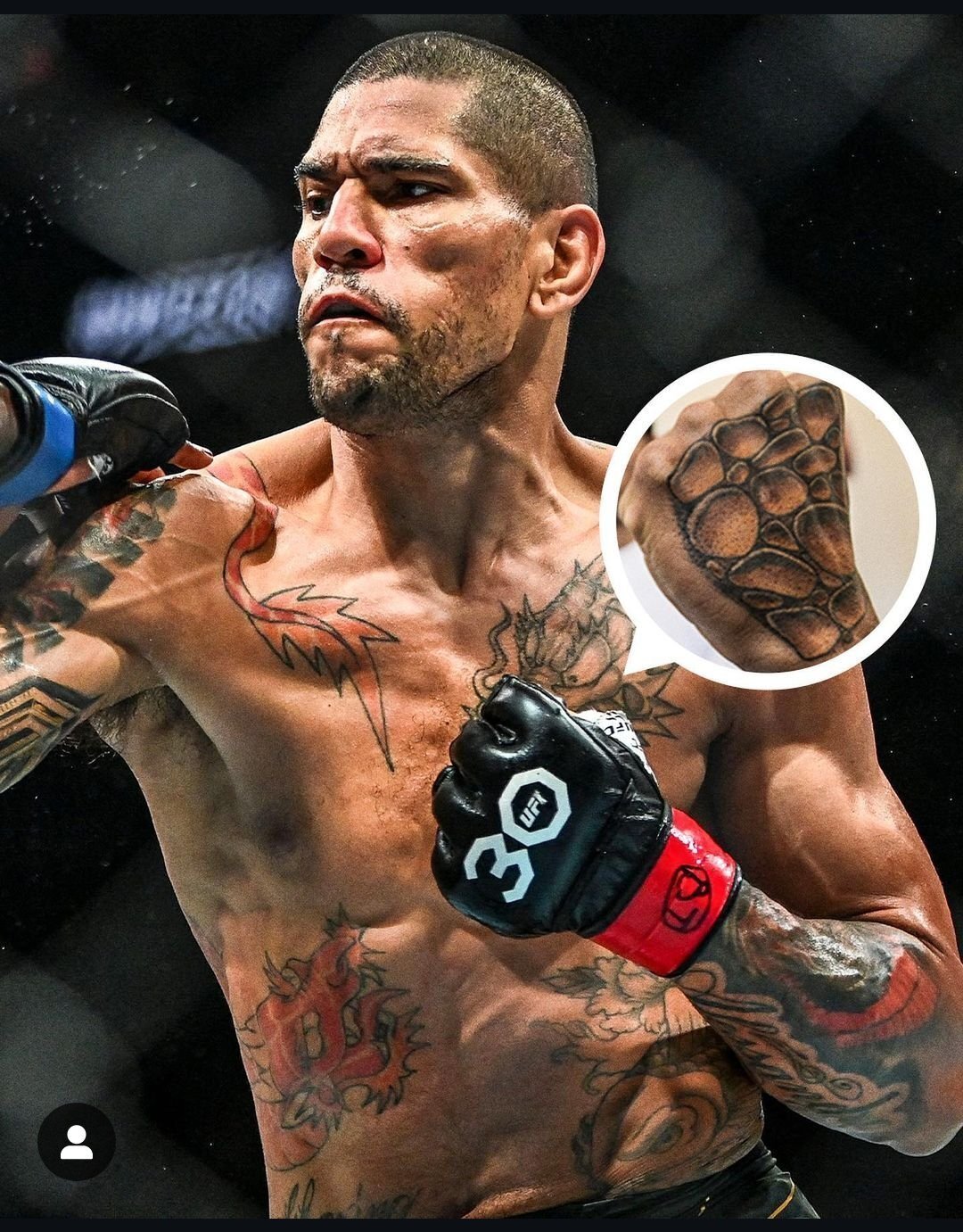 元GLORY＆UFC2階級王者】アレックス・ペレイラ解説【Fighter's