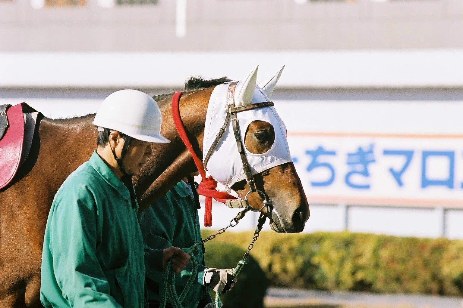 懐かし写真】2001.12.10 宇都宮競馬場（第1回とちぎマロニエカップ
