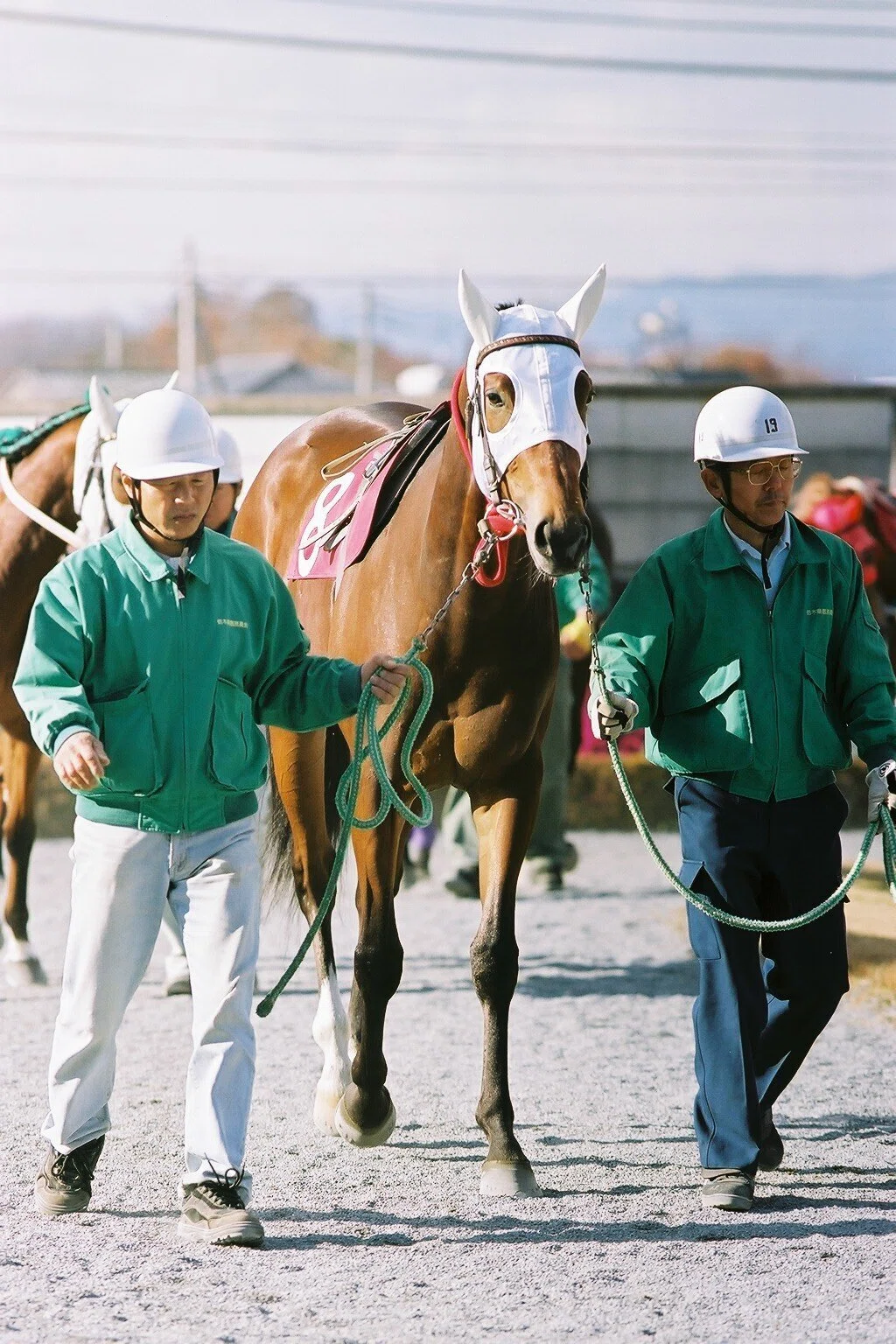 懐かし写真】2001.12.10 宇都宮競馬場（第1回とちぎマロニエカップ
