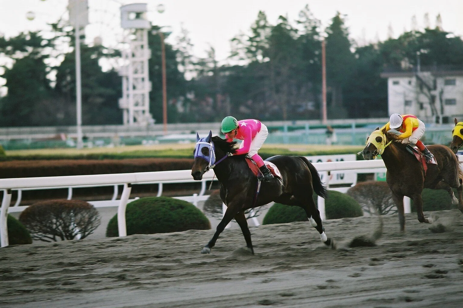 懐かし写真】2001.12.10 宇都宮競馬場（第1回とちぎマロニエカップ