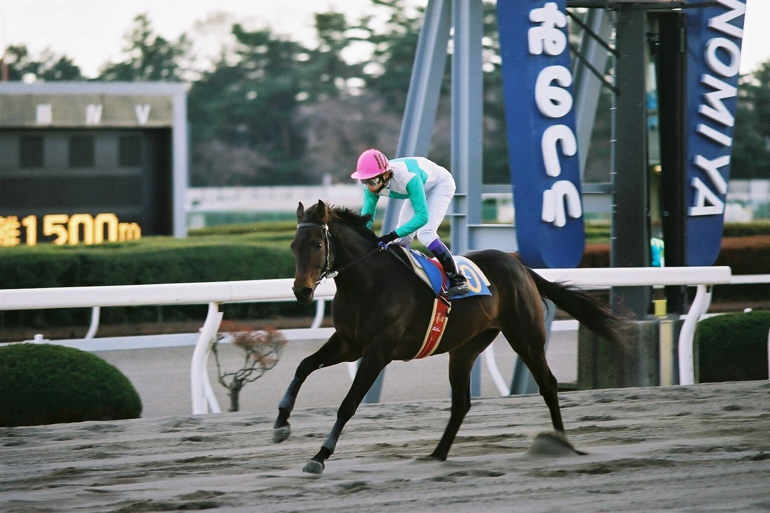 懐かし写真】2001.12.10 宇都宮競馬場（第1回とちぎマロニエカップ