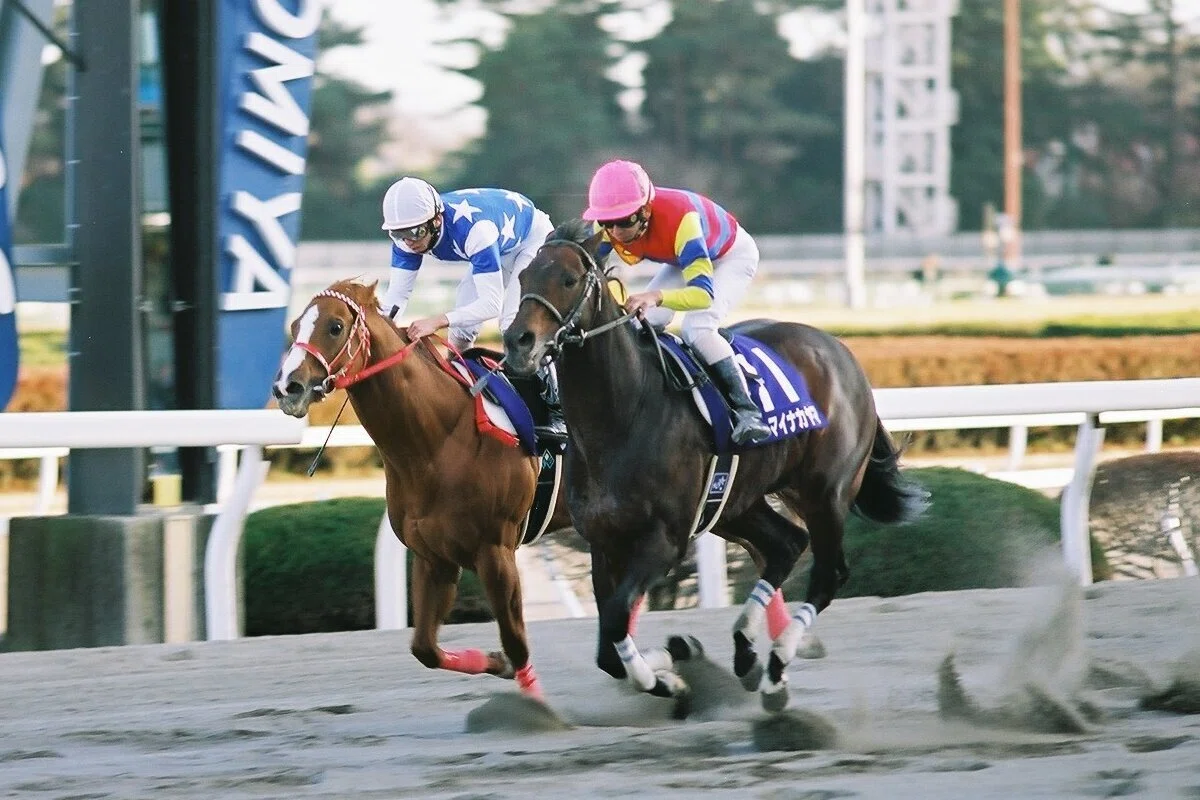 懐かし写真】2001.12.10 宇都宮競馬場（第1回とちぎマロニエカップ
