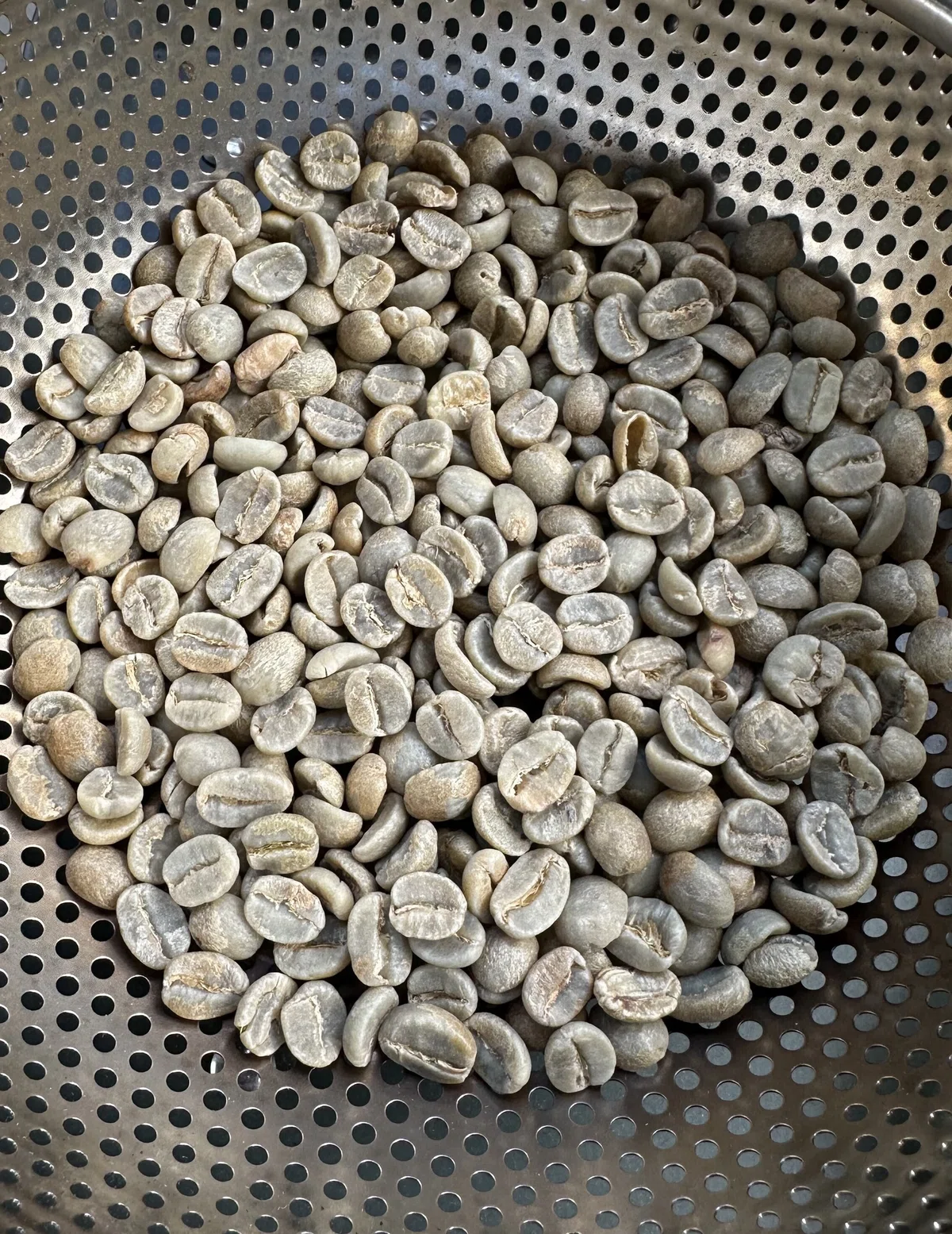 焙煎　生豆　キリマンジャロ