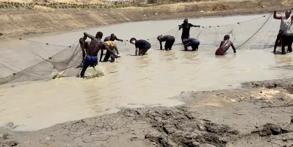 Chasing Giant Catfish! (A Job, That Is) [Karamoja Diary 25-03-08]｜Yuki ...