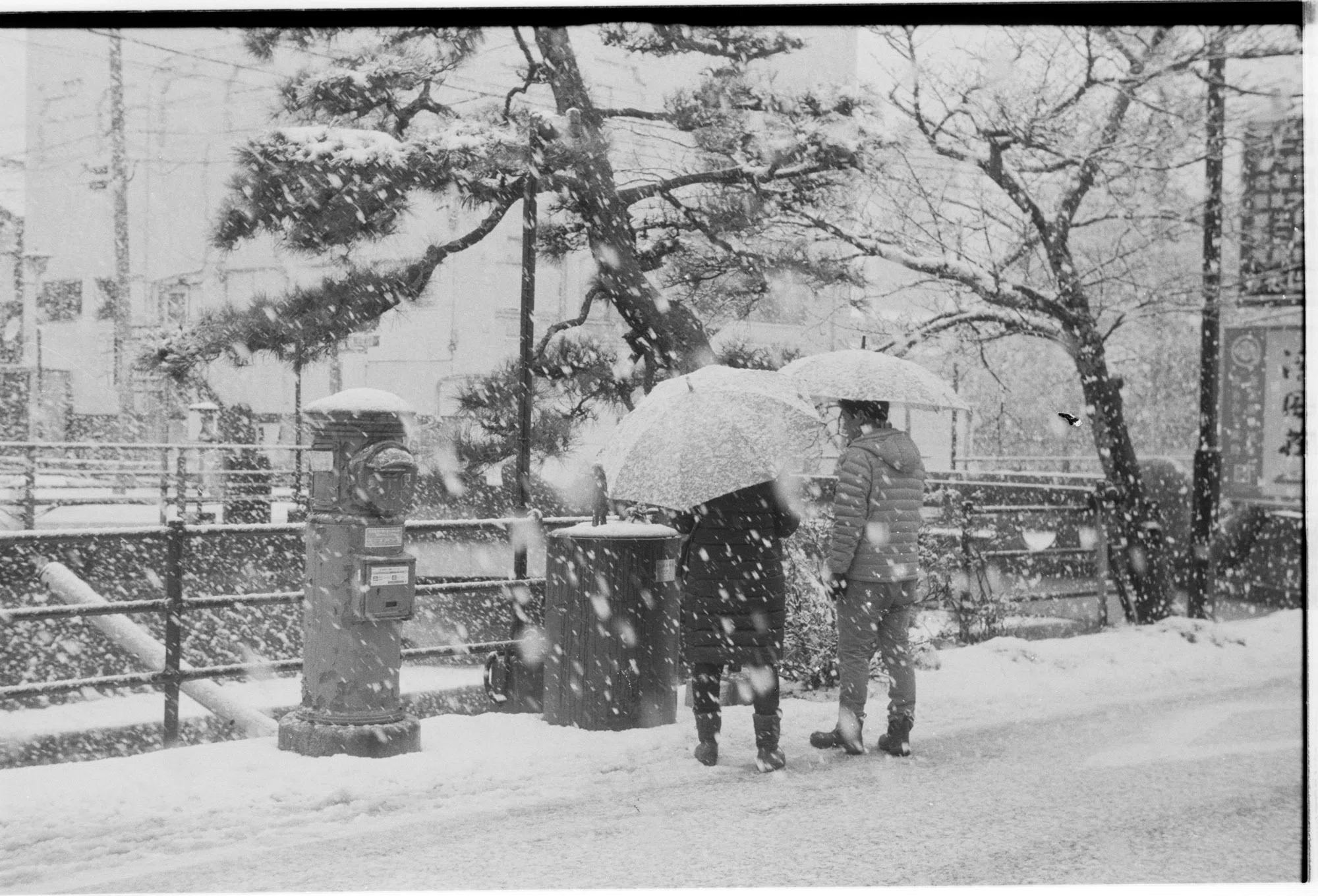 モノクロで撮る雪景色｜しまなみフォトライフ