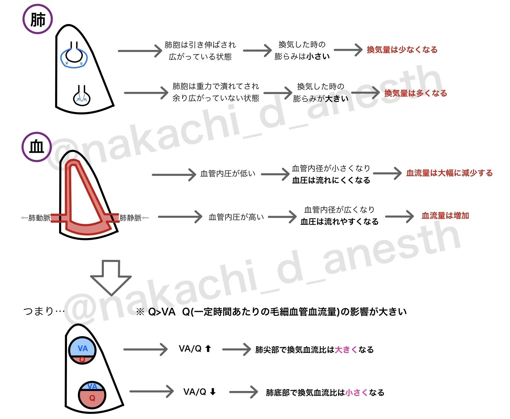 【未裁断】国試の賢人　口外・麻酔・症候群 wp用アイキャッチ.001-9.jpeg?