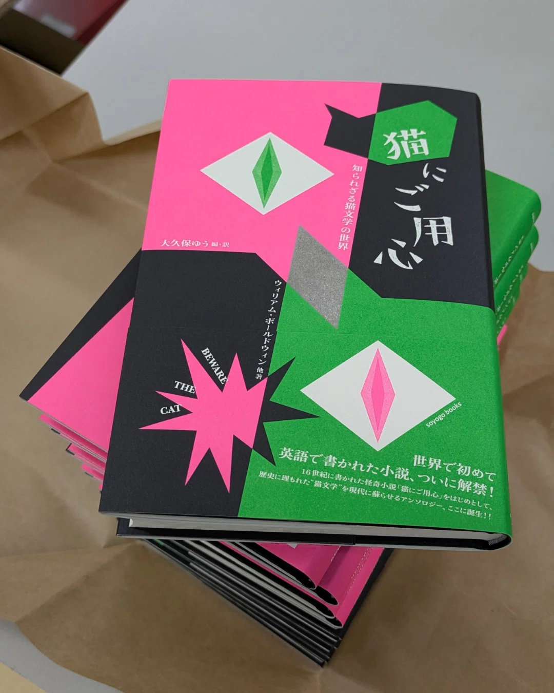 第7回 運命の猫のはなし｜soyogo books