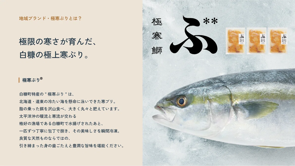 「極寒ぶり」プロジェクト 〜これまでの活動報告と今後の展望〜|株式会社イミュー