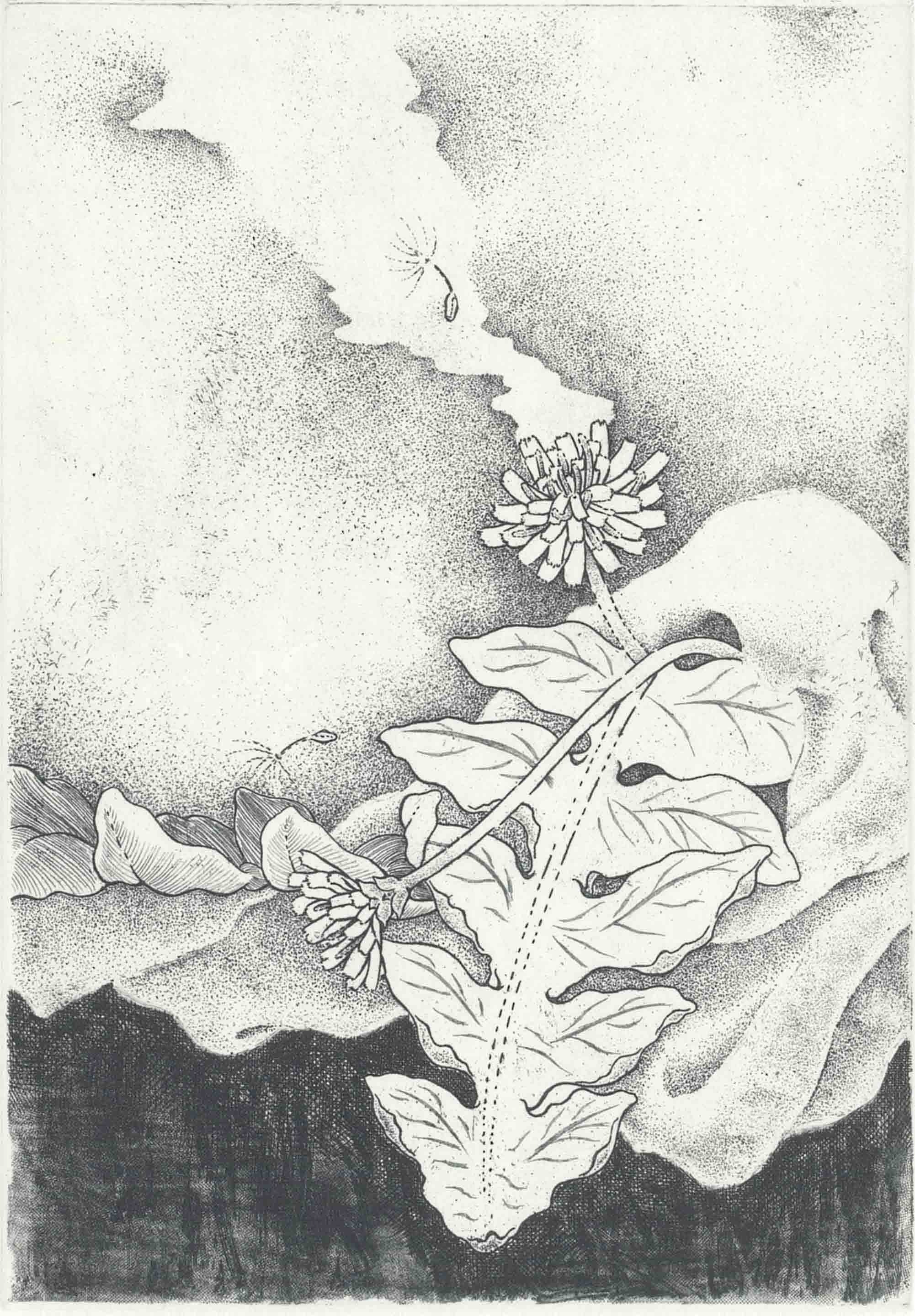 銅版画とは？｜小野澤 久美