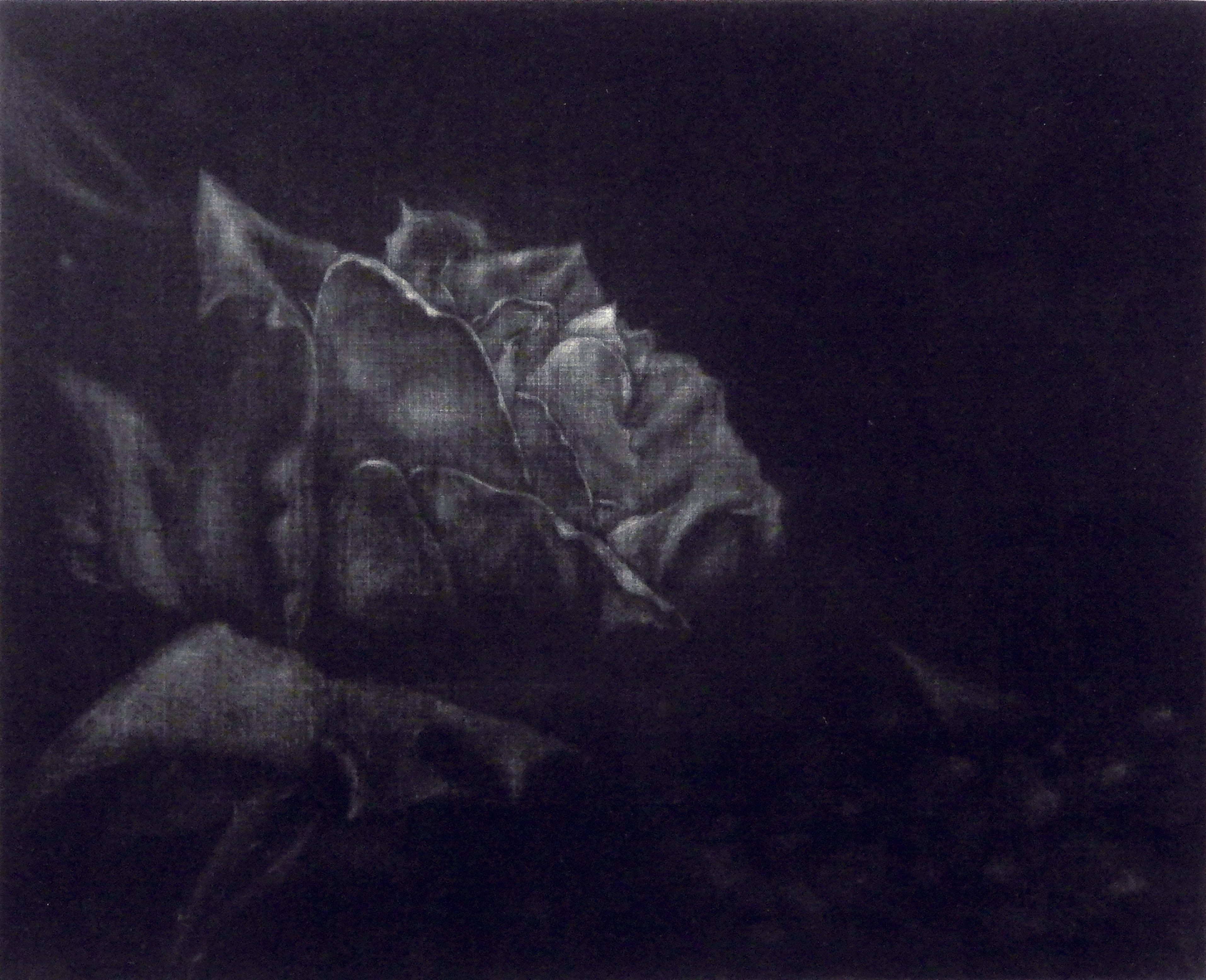 銅版画とは？｜小野澤 久美