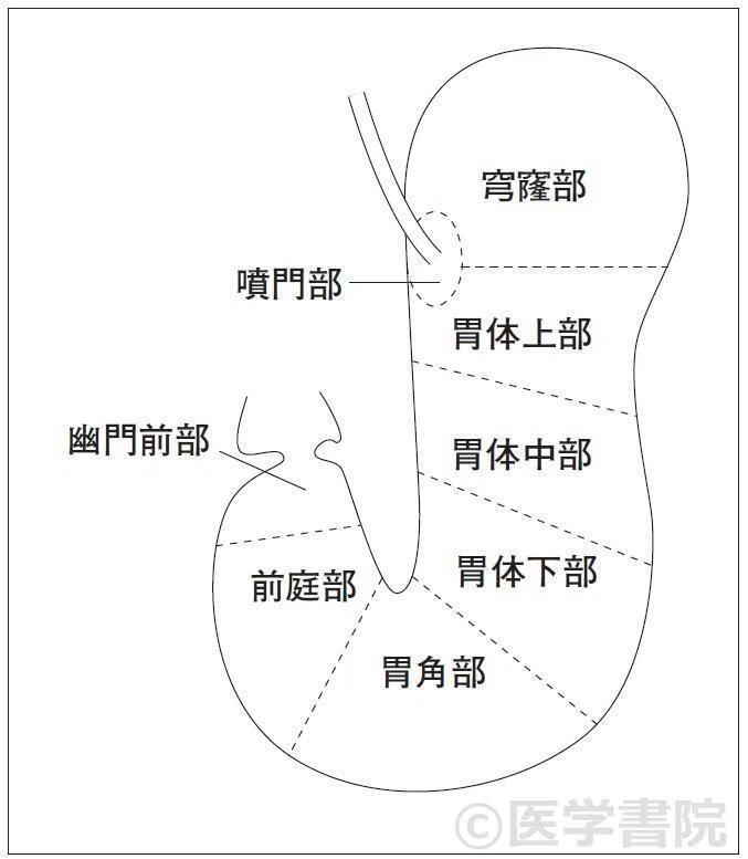 第60回理学療法士国家試験 午後51−55の解説|Sixty_valleyのページ