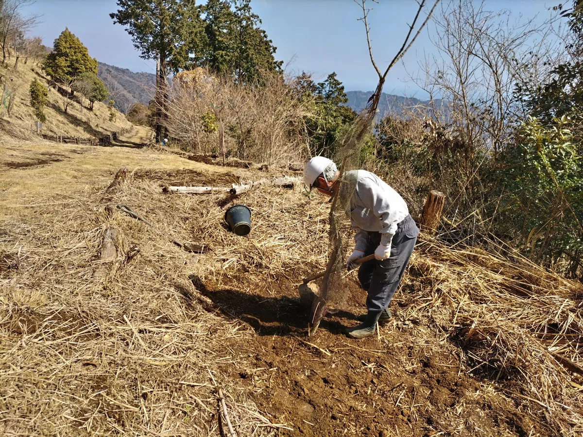 大丸山中腹の記念植樹に向けて。｜SATマサ