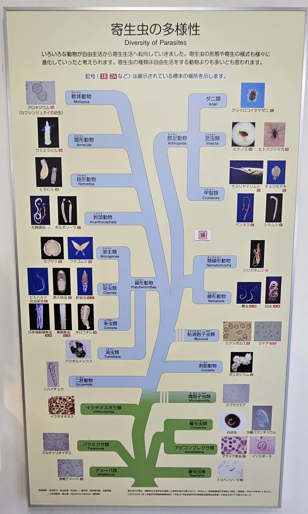全国自然博物館の旅【58】 …