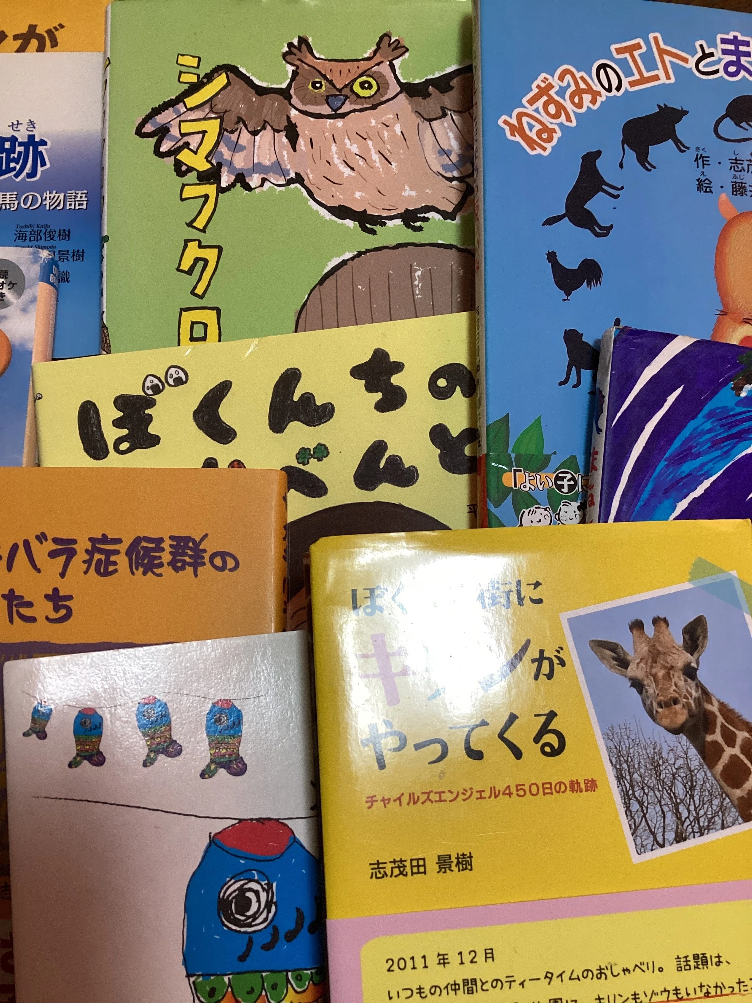 新刊のバレエ絵本：志茂田景樹著「バレエのレッスン仲間は子ザルの