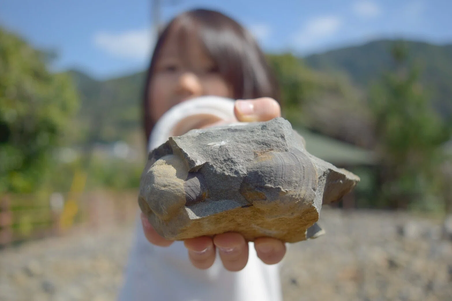発見いっぱい！！ この春、アツい化石採集。3月29日は恐竜の島で「島遊