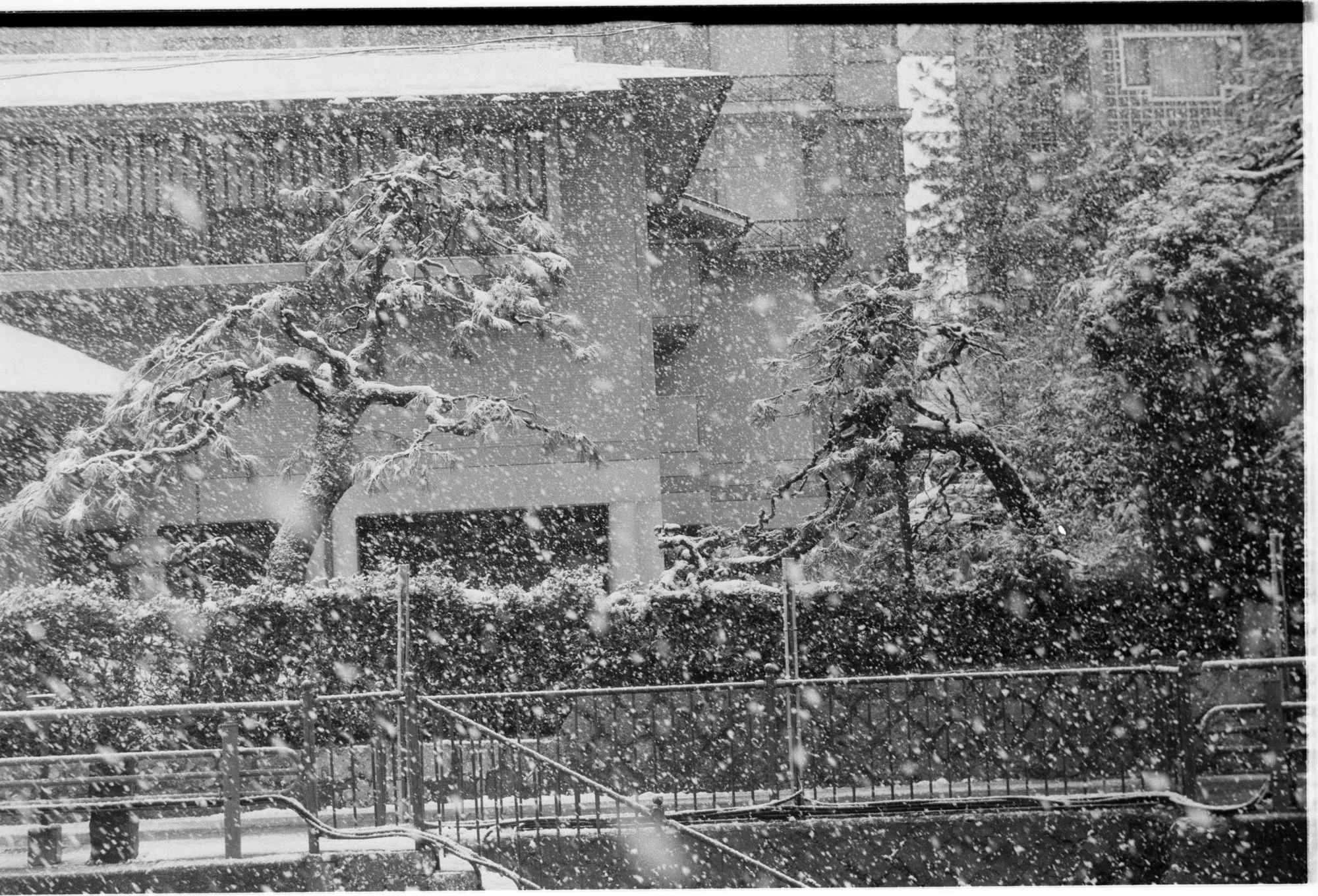 モノクロで撮る雪景色｜しまなみフォトライフ