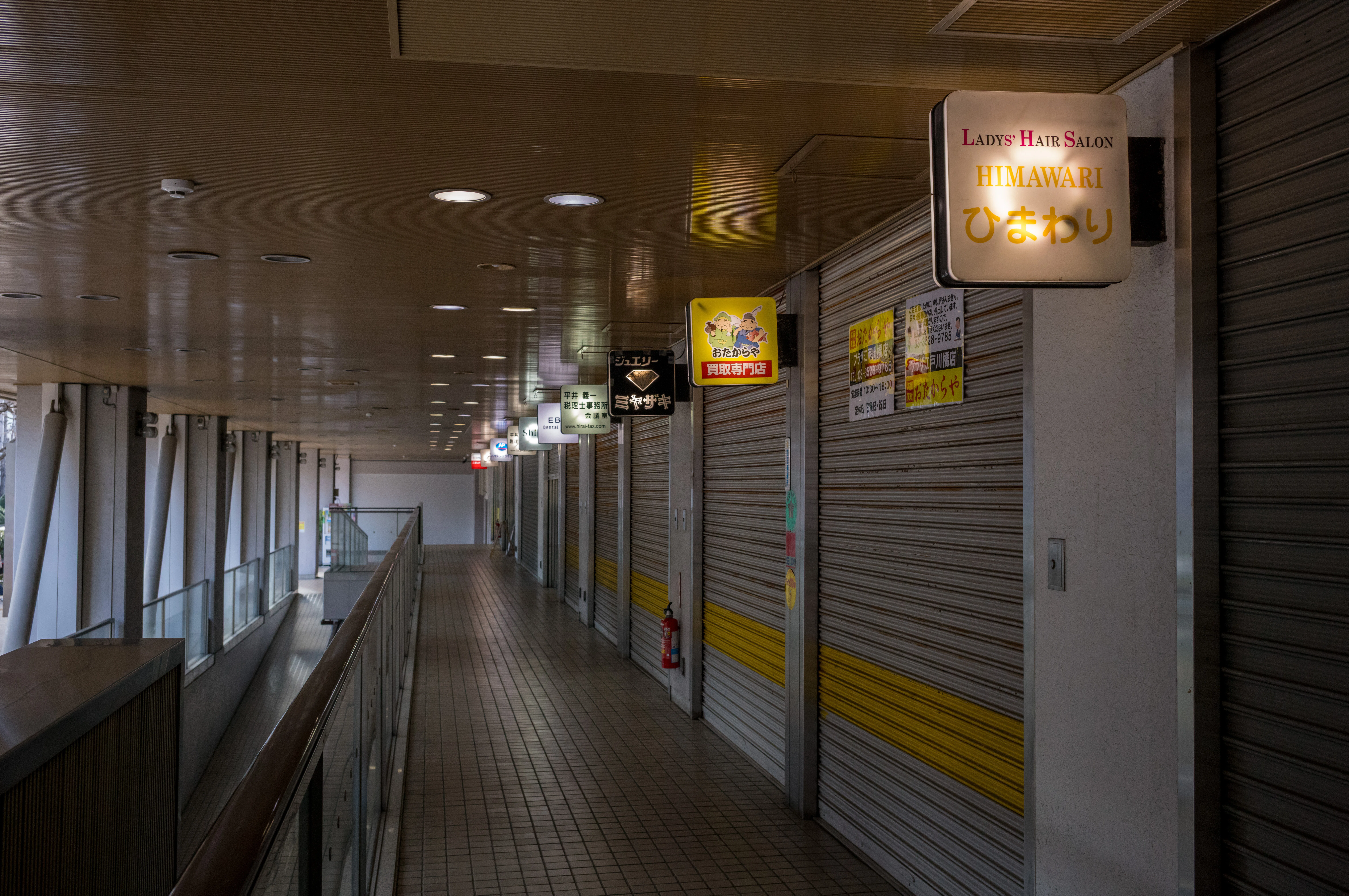 神楽坂～江戸川橋｜teru
