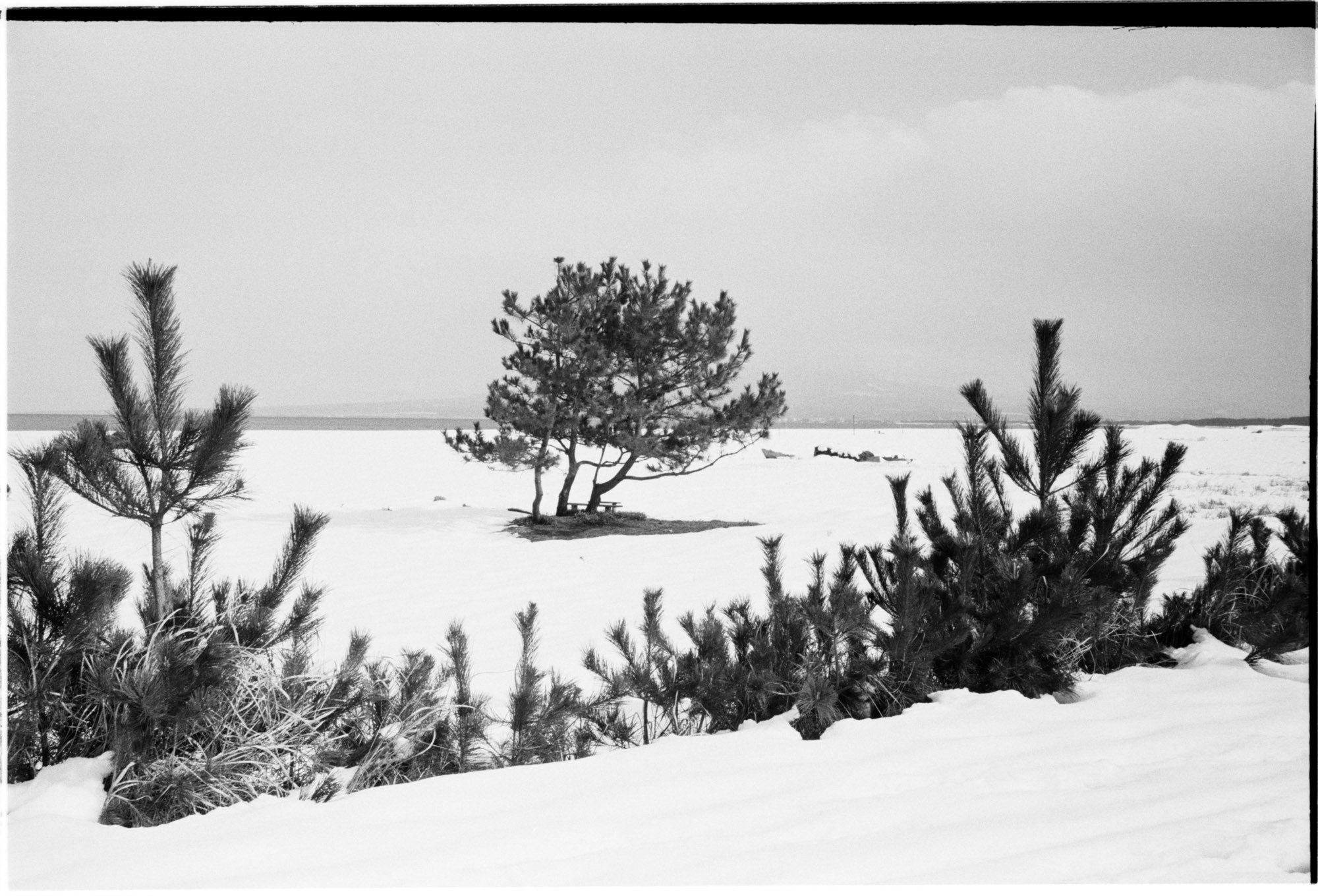 モノクロで撮る雪景色｜しまなみフォトライフ