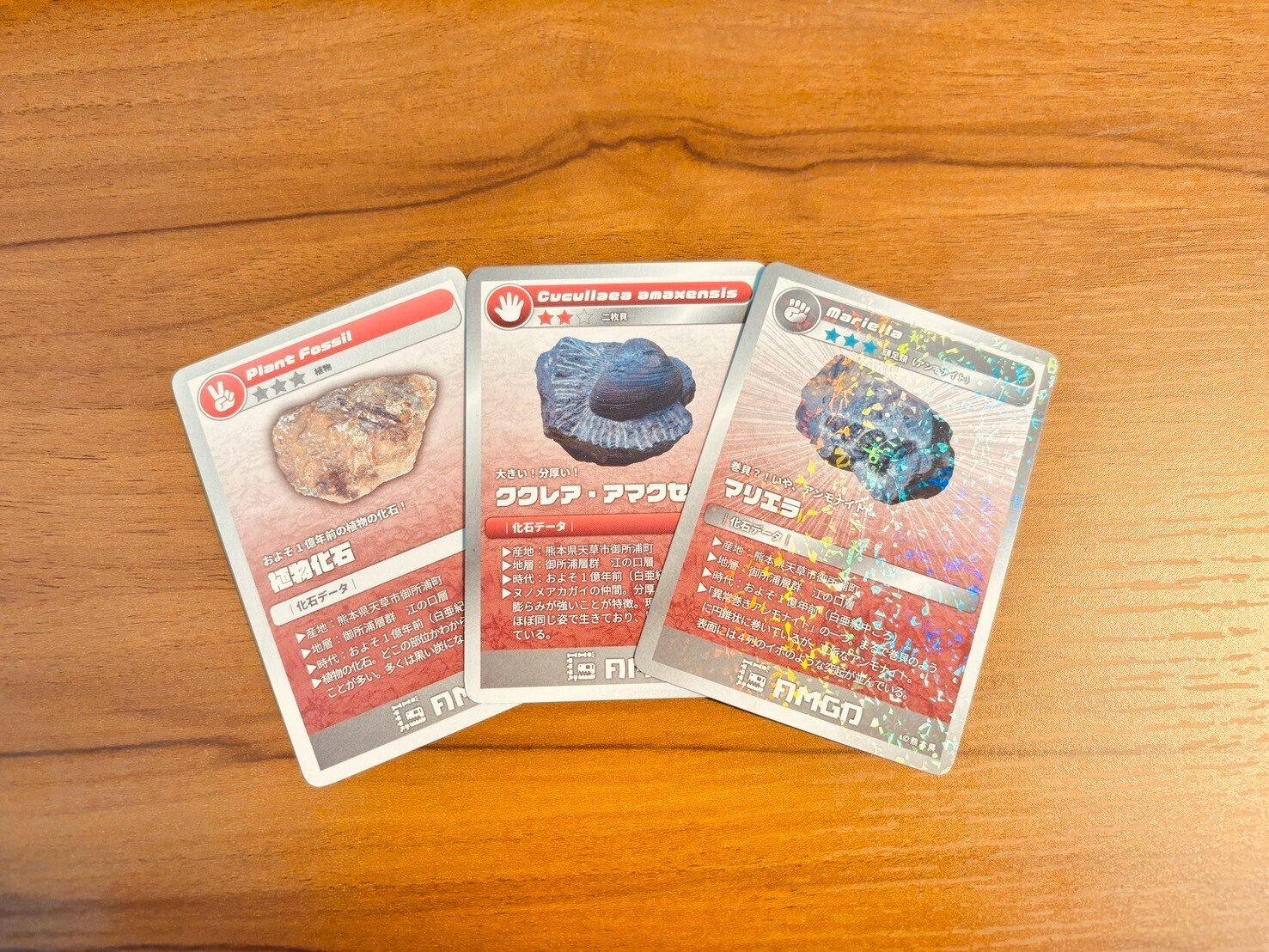 発見いっぱい！！ この春、アツい化石採集。3月29日は恐竜の島で「島遊