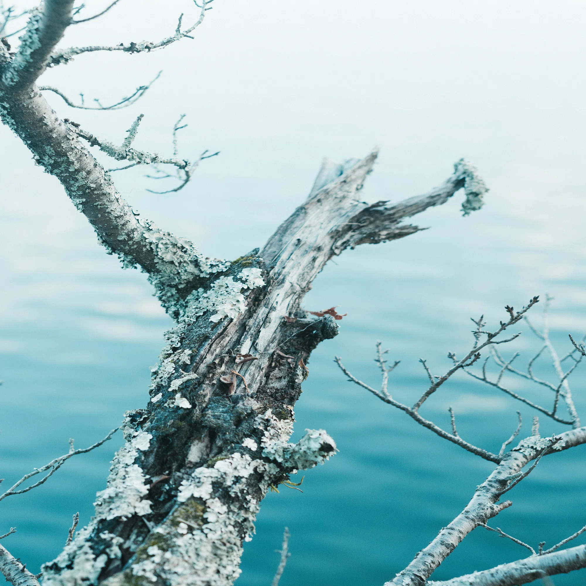 見つけた、GFXの最適解。 ｜FUJIFILM GFX×MINOLTA ROKKOR。｜Oto Hanada