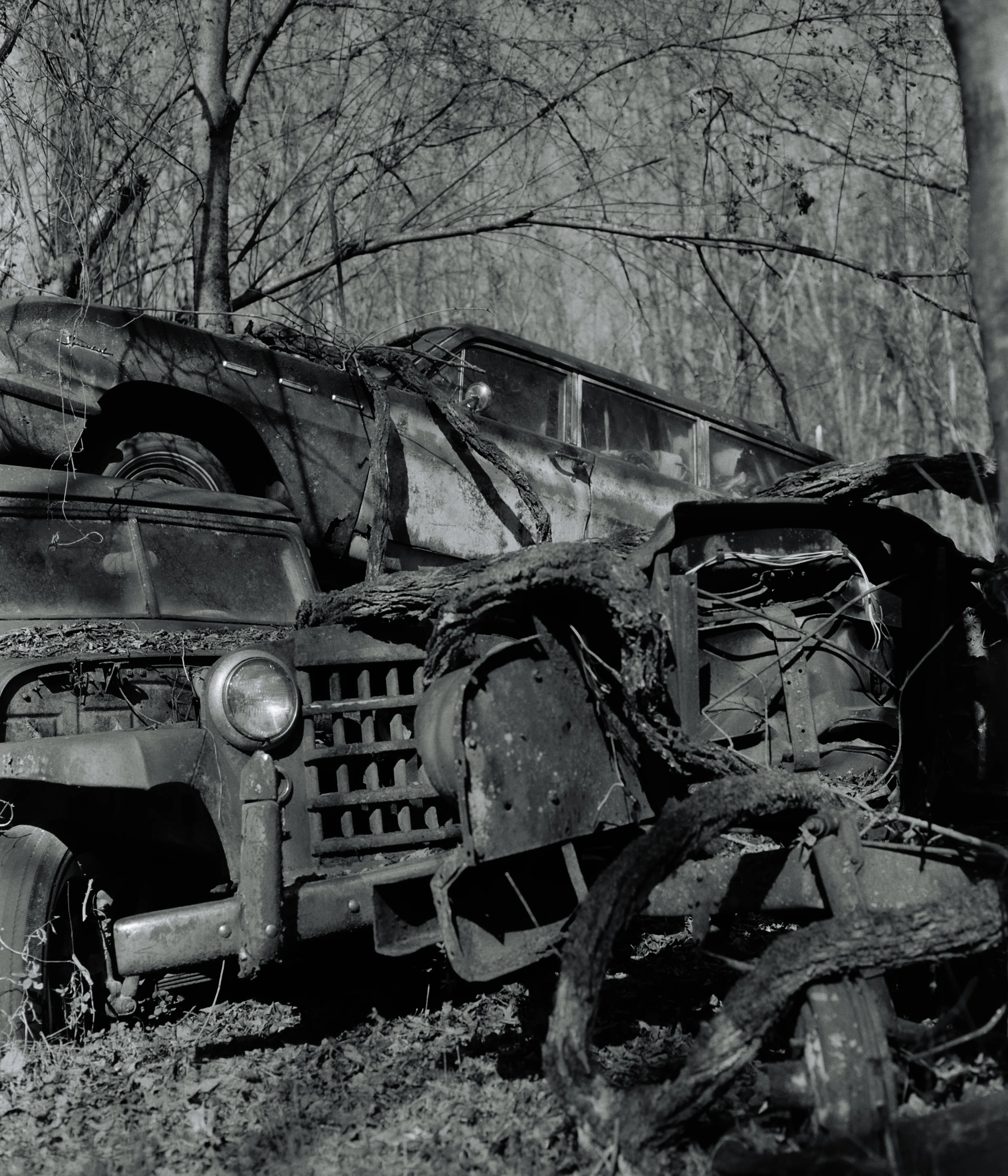 最近リーズブルになった？KODAK Tri-Xで「OLD CAR CITY」を撮ってみた