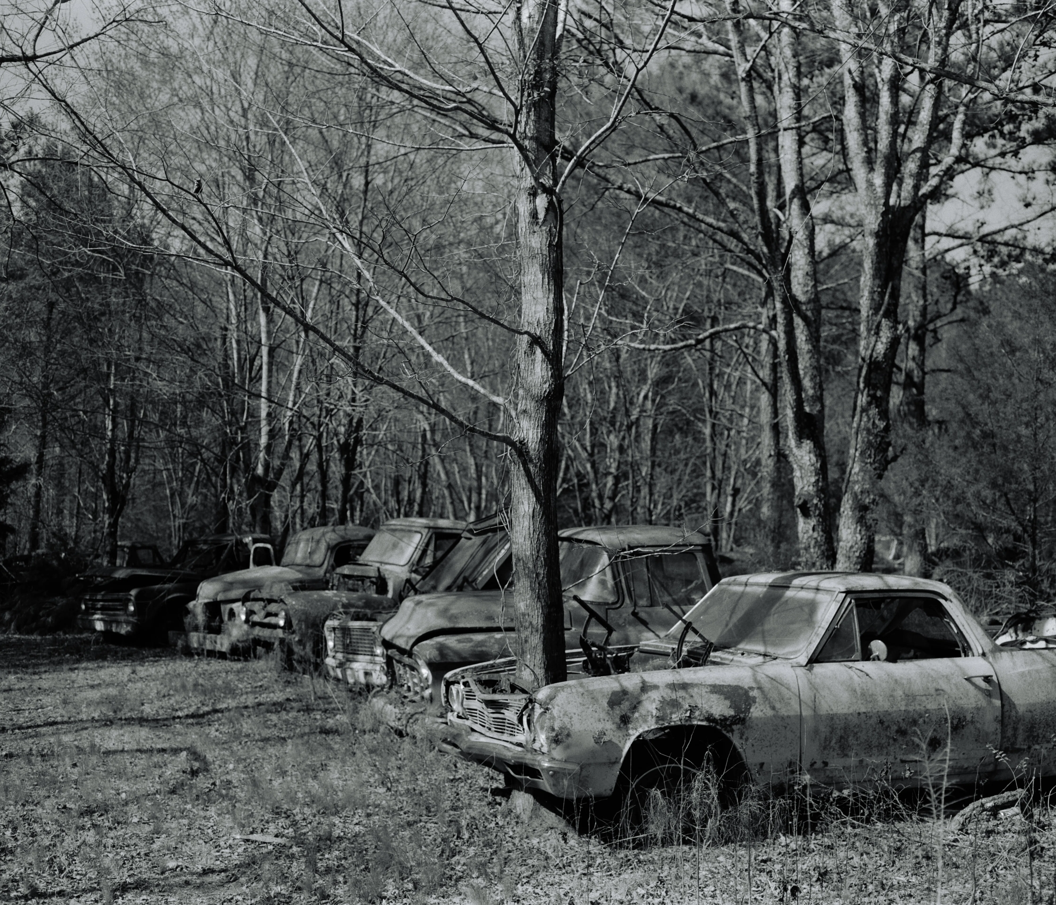 最近リーズブルになった？KODAK Tri-Xで「OLD CAR CITY」を撮ってみた
